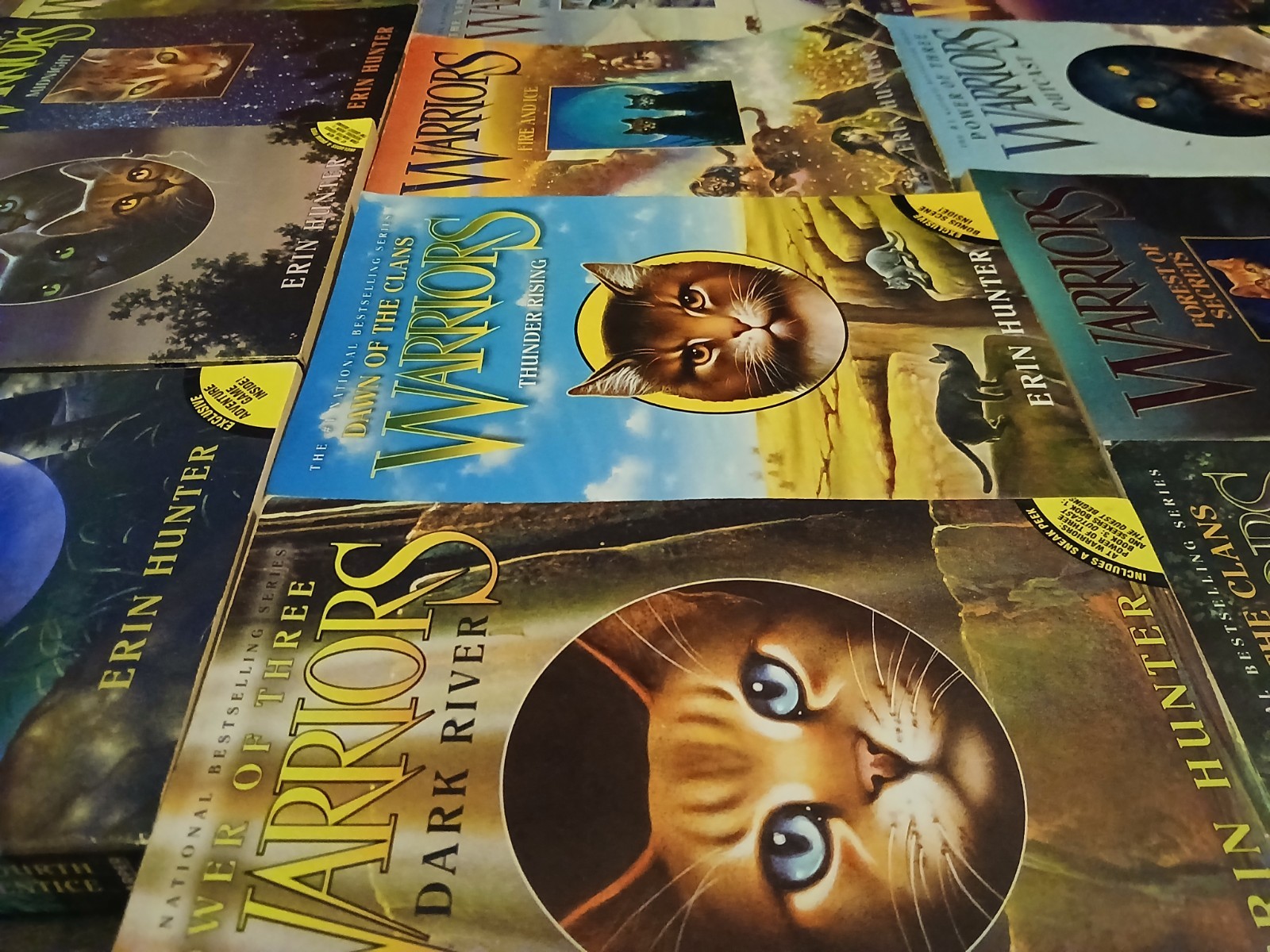 13 peace WARRIOS ERIN HUNTER Books ,