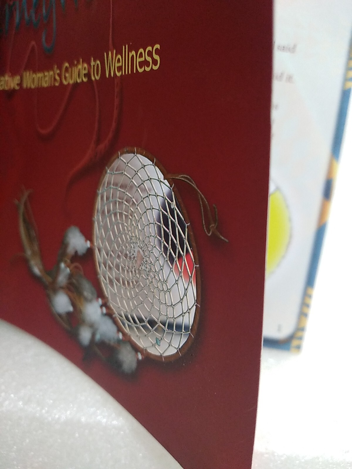 Journey Woman ~A Native Womans Guide To Wellness ~367 Page Book