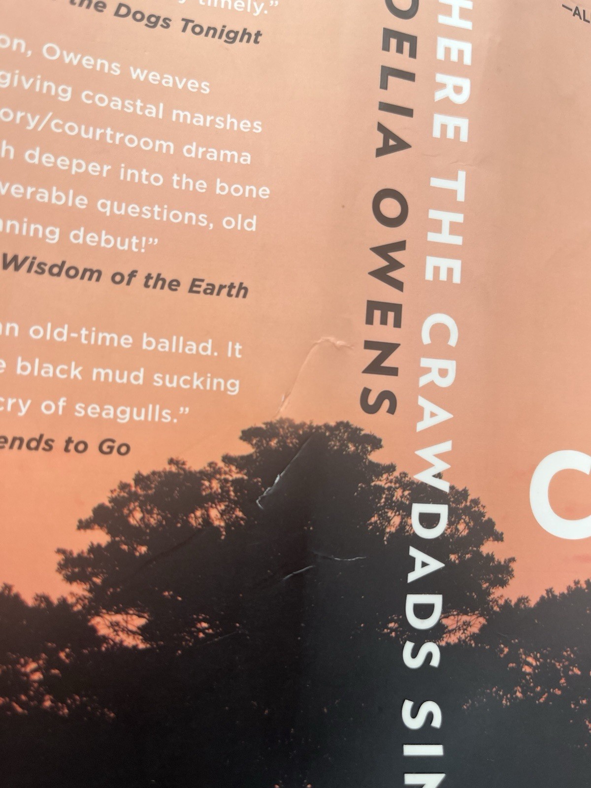 Where the Crawdads Sing by Delia Owens (2018 1st Edition 1st Printing Hardcover)