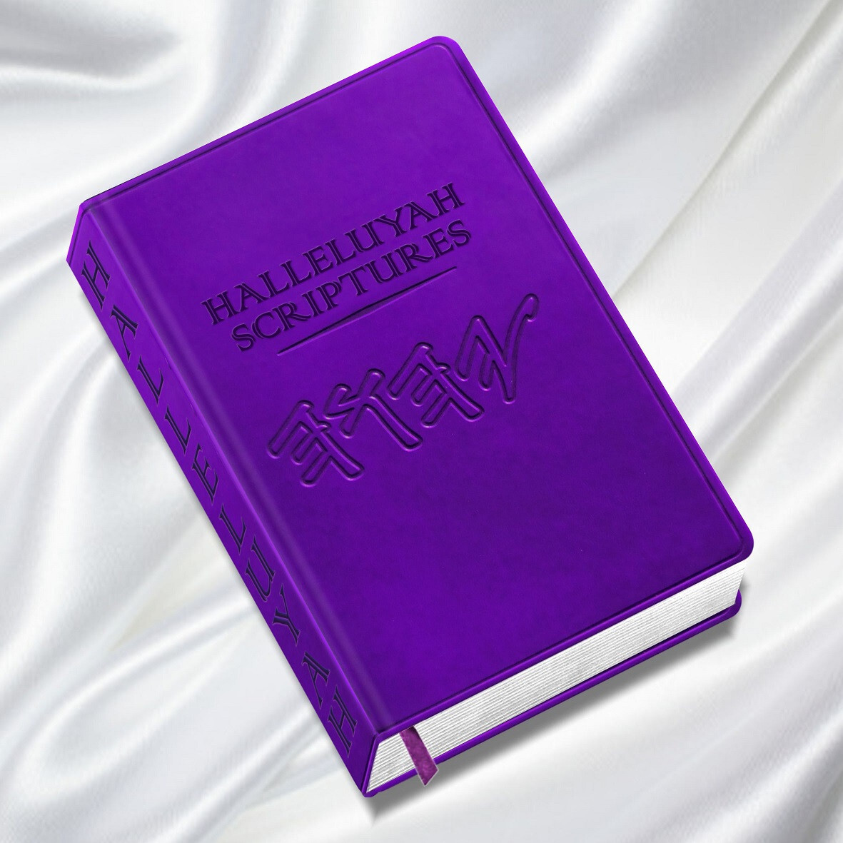 Bible BIBLE BIBLE PU Leather HalleluYah Scriptures & Extra 2 Books