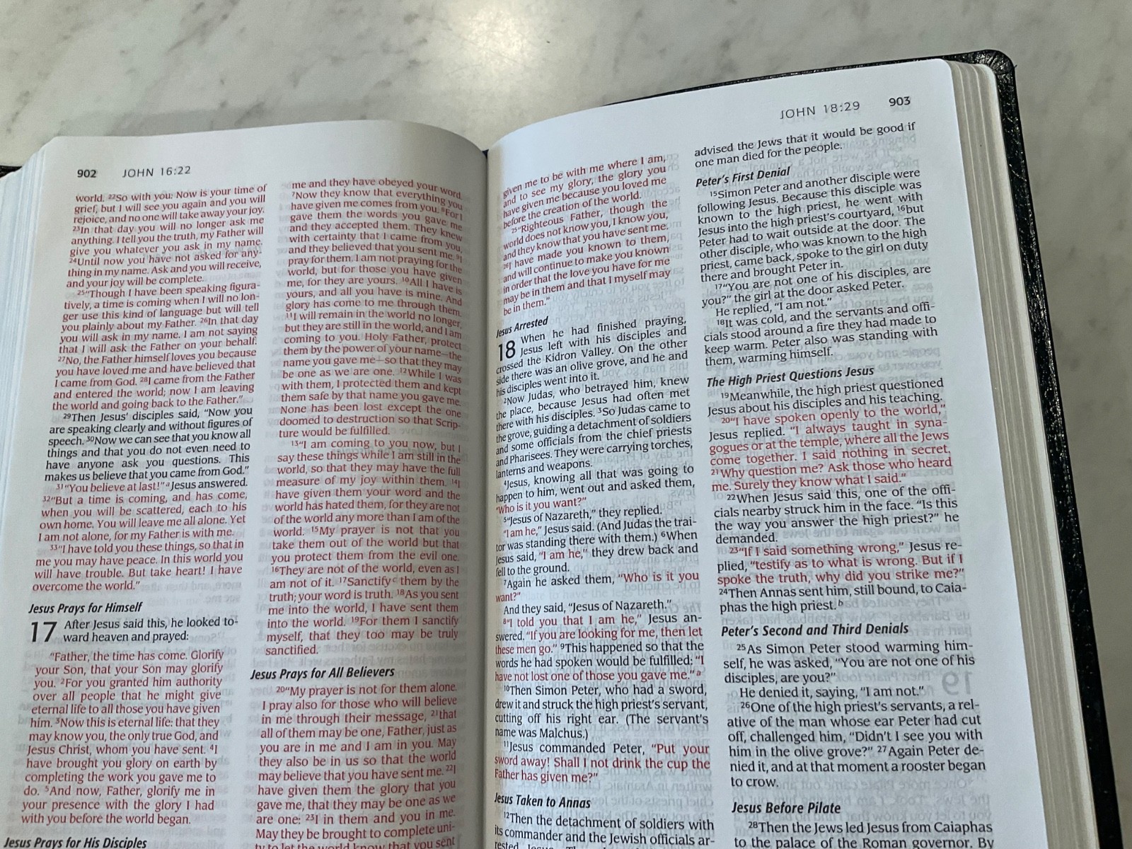 NIV Thinline Bible 2005 Navy Blue Bonded Leather Text 1984