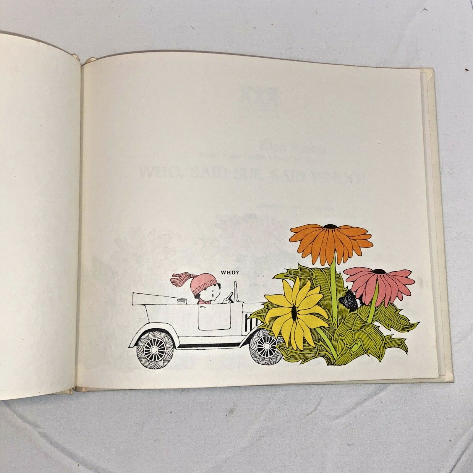 Who, Said Sue, Said Whoo? Ellen Raskin HC Children’s Book 1973 Weekly Reader Vtg