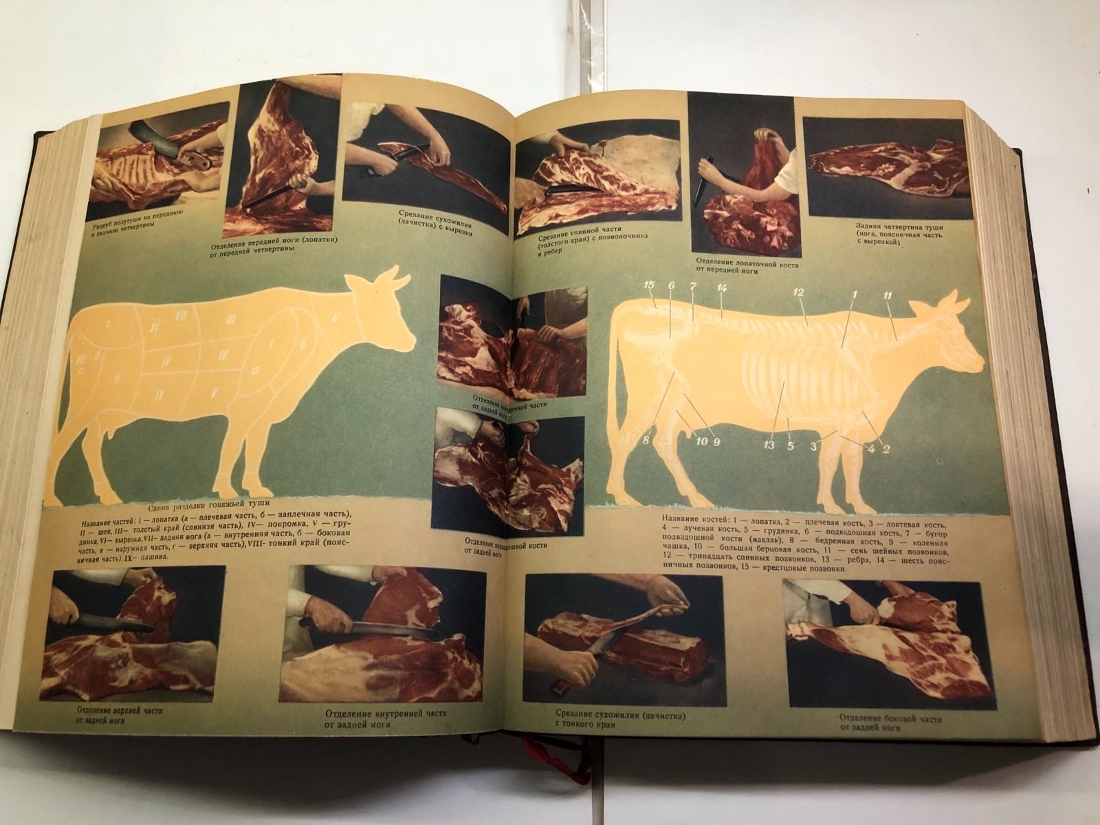 Vintage 1955 Russian Culinary USSR Soviet Cook Book Reciepes Cooking 960 pages