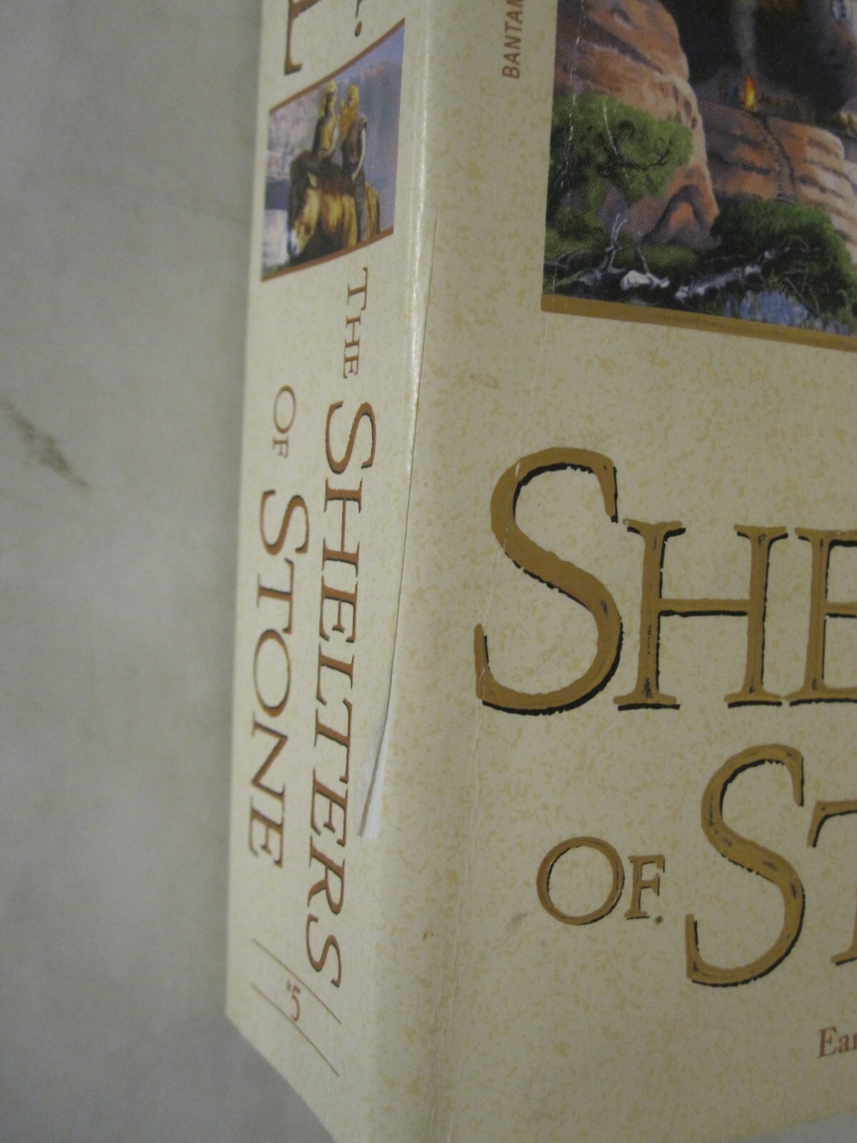Earth’s Children Ser.: The Shelters of Stone : Earth’s Children, Book Five by Je