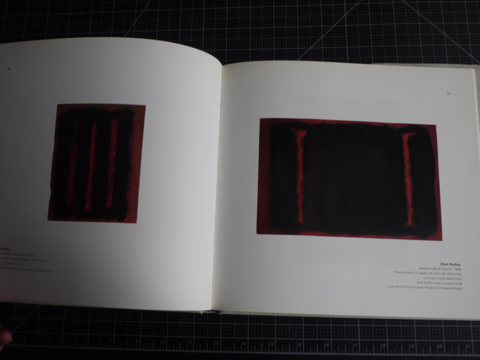 Coming to Light: Avery Gottlieb Rothko: Provincetown Summers 1957-1961 by Avery