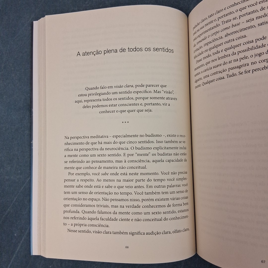 Atenção Plena Para Iniciantes Jon Kabat-Zinn Portuguese PB w/ CD LN