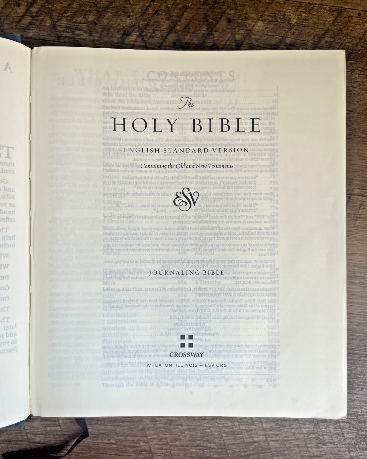 2016 HOLY BIBLE, Juornaling Bible, ESV, Crossway, Blue Flora Cloth, GOOD