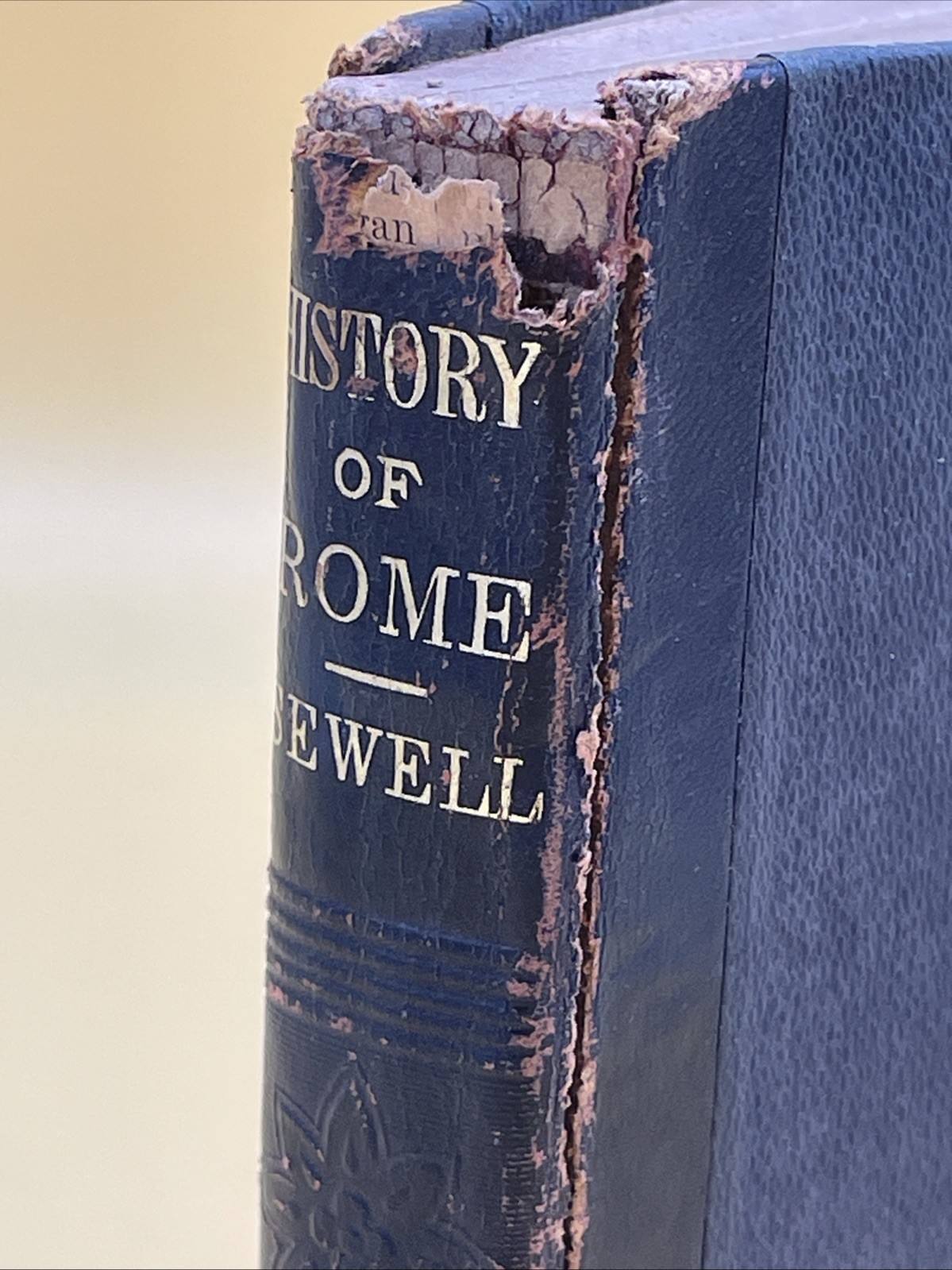 The “History Of Rome” E.M Sewell New York, D Appleton And Co, 1889!