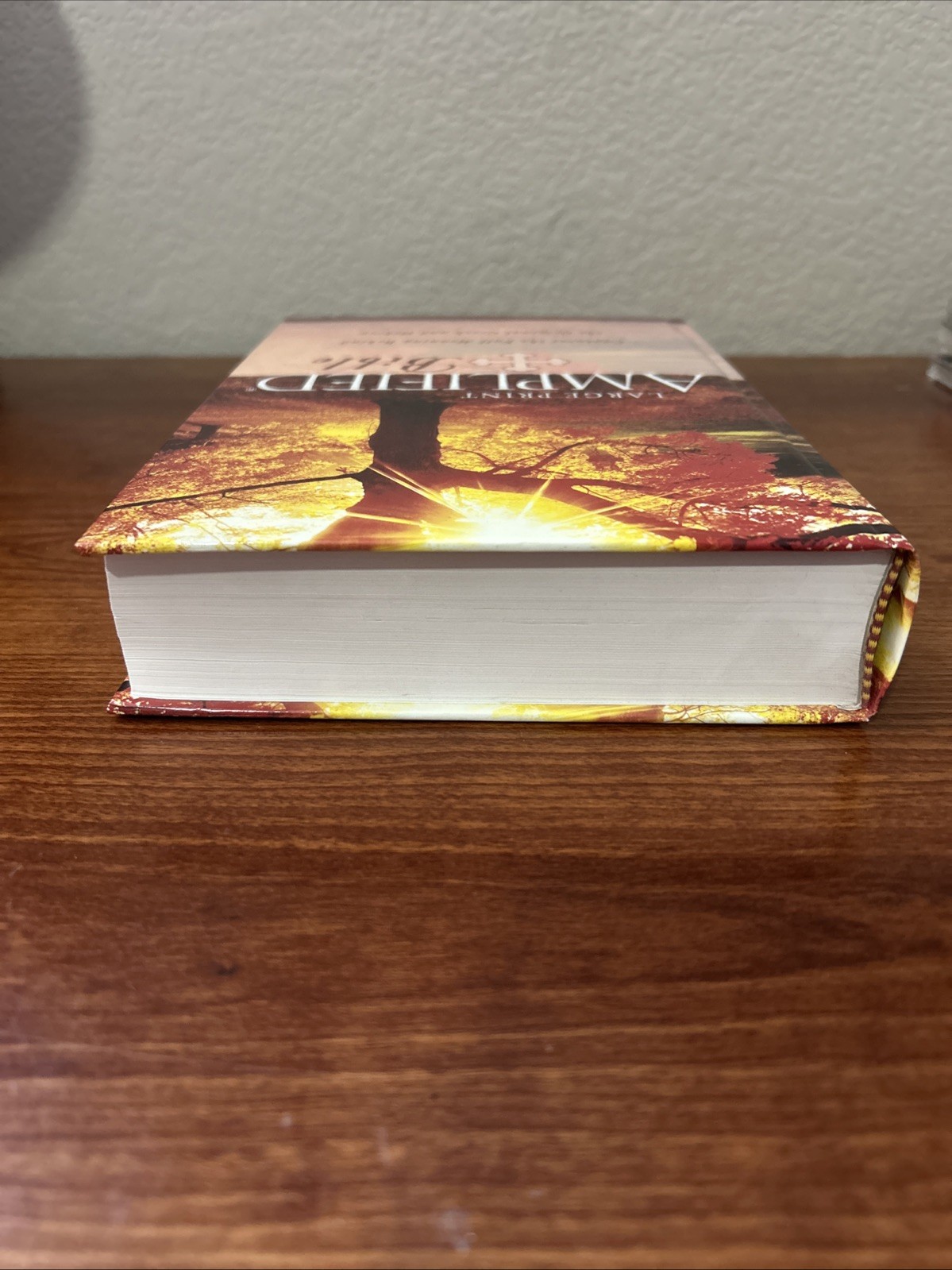 Amplified Bible by Zondervan (1987, HC, Large Type / large print edition)
