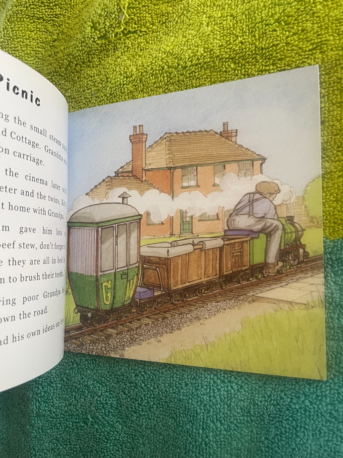 CHRISTOPHER VINE. LITTLE PETER’S RAILWAY THE PICNIC. 15 BY 14CM. 9781908897022