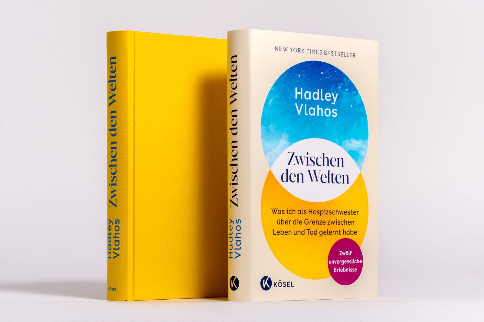 Zwischen den Welten Hadley Vlahos