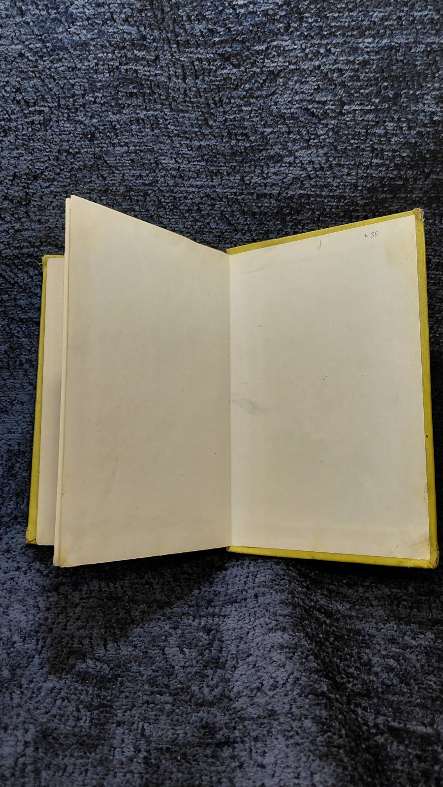 VTG RARE 1959-1975 MY SIDE OF THE MOUNTAIN By Jean Craighead George – Hardcover