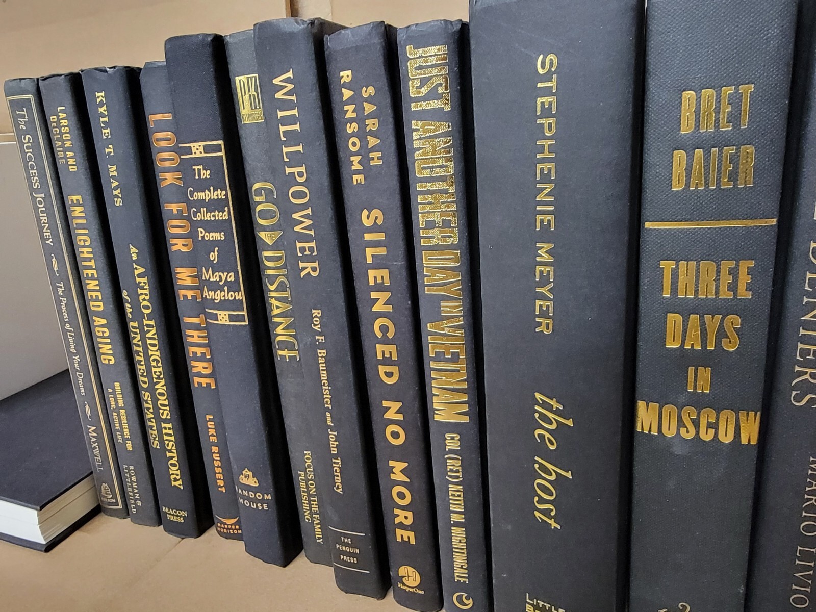 Lot of 10 Hardcover BLACK Book for Decorating Design Staging GOLD/COPPER Letters