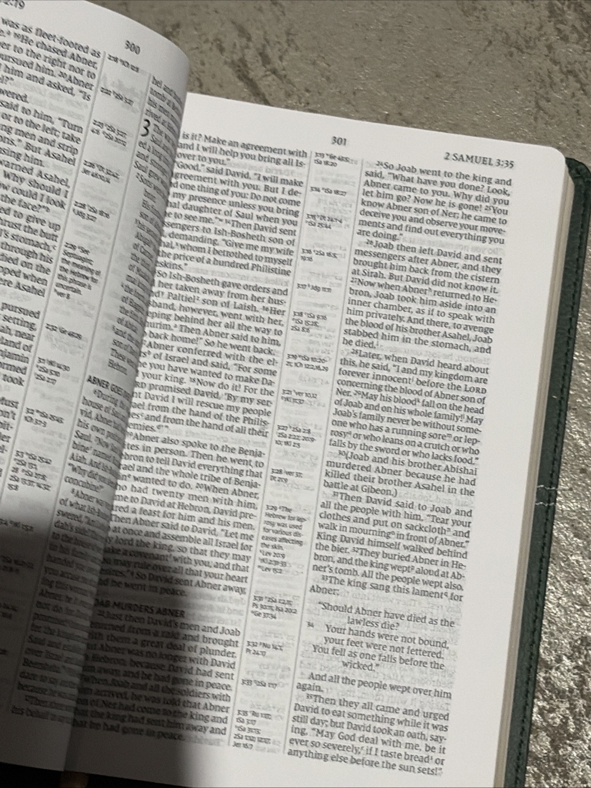 Holy Bible : Niv, Center-column Reference Bible, Green, Red Letter, Comfort P…