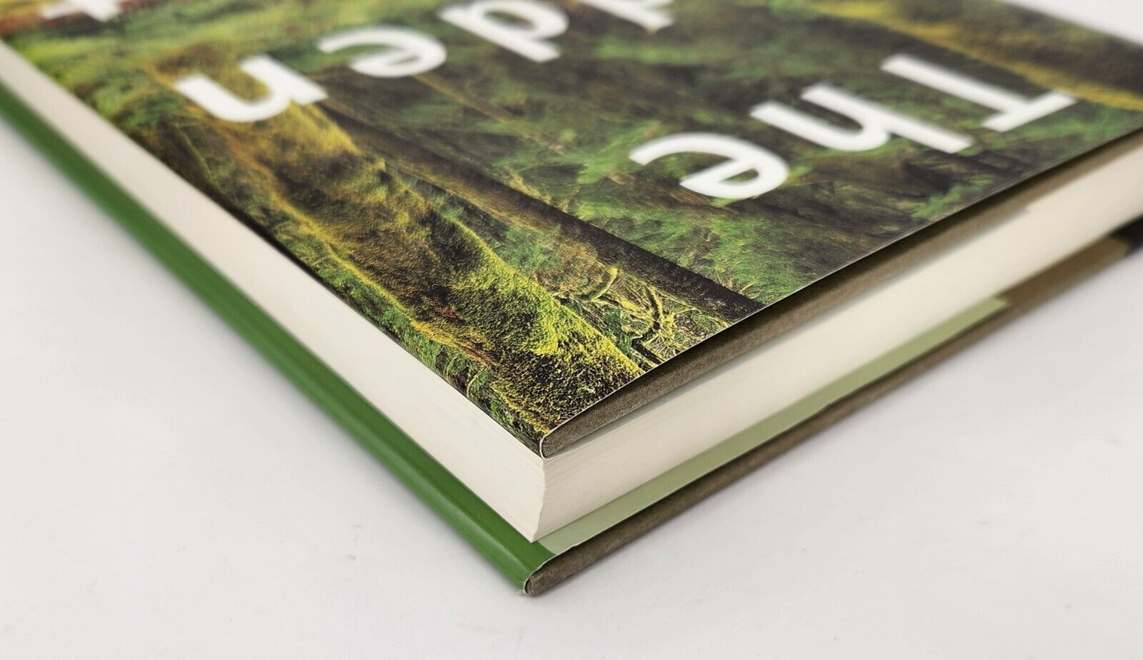 Hidden Forest : Biography of an Ecosystem by Luoma, Jon R. 1999 Hardcover