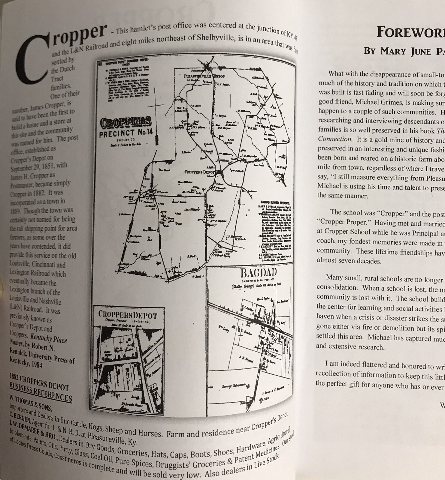 Book, Cropper Reflections (Shelby Co., Kentucky) Mike Grimes, 2017, 348 pages