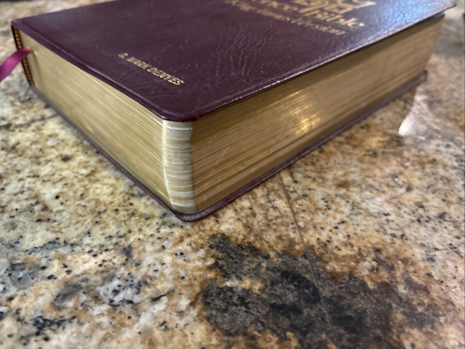 Salem Kirban Reference Bible King James Version Leather Bound AMG PUBLISHERS