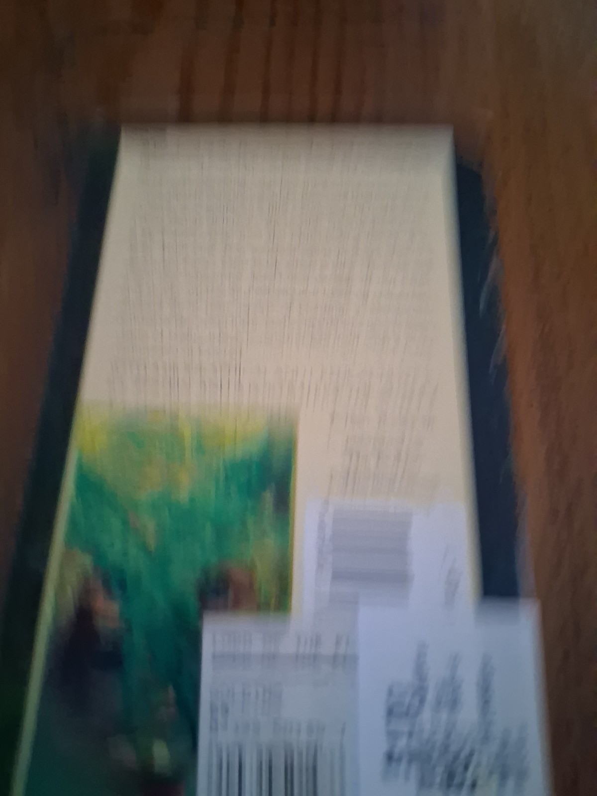 lord of the flies paperback