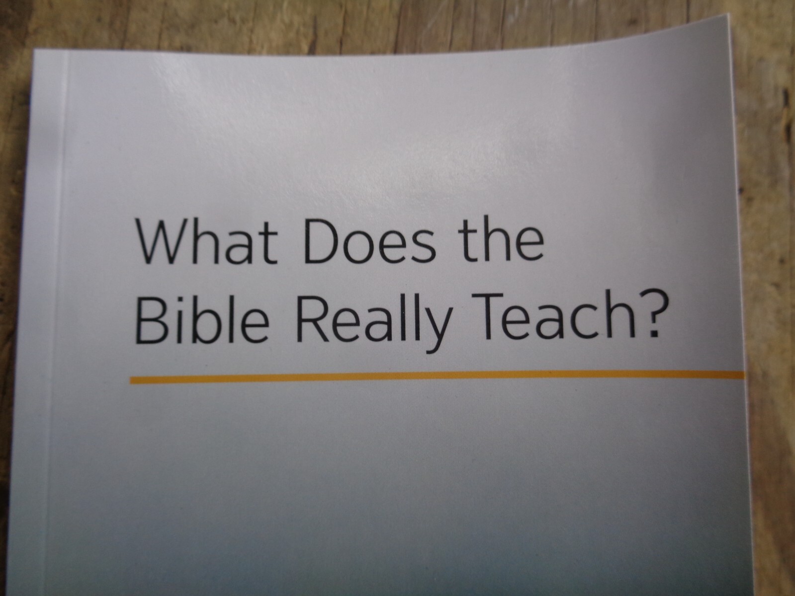 „WHAT DOES THE BIBLE REALLY TEACH?“. 2016. 223 pages. Paperback. Watchtower