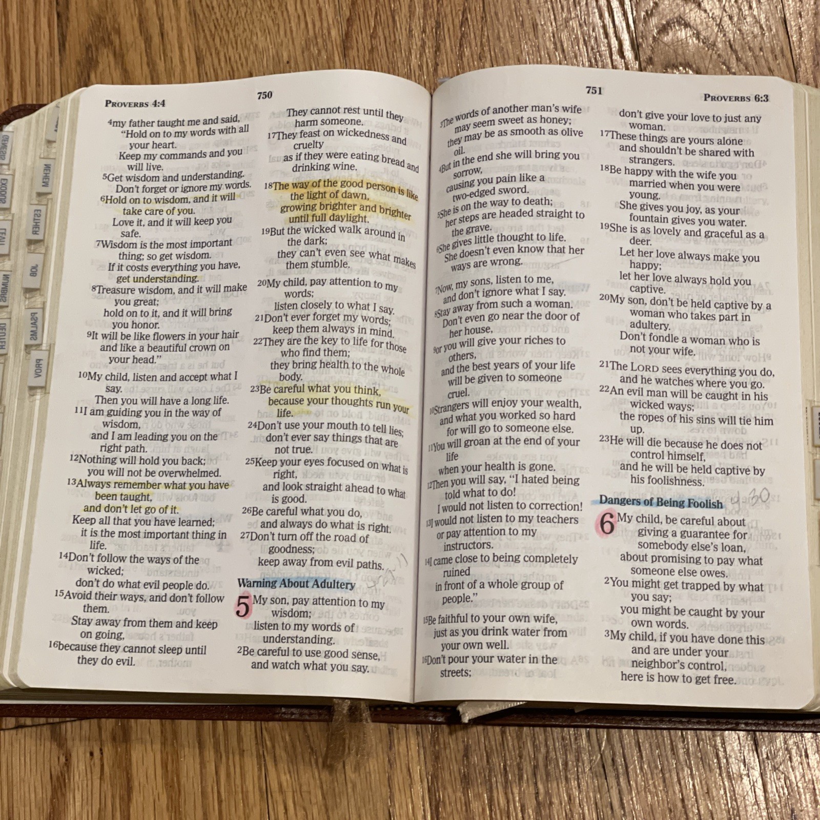Nelson Bible 6365SAM NCV New Century Version Giant Print Book Tabs *READ*