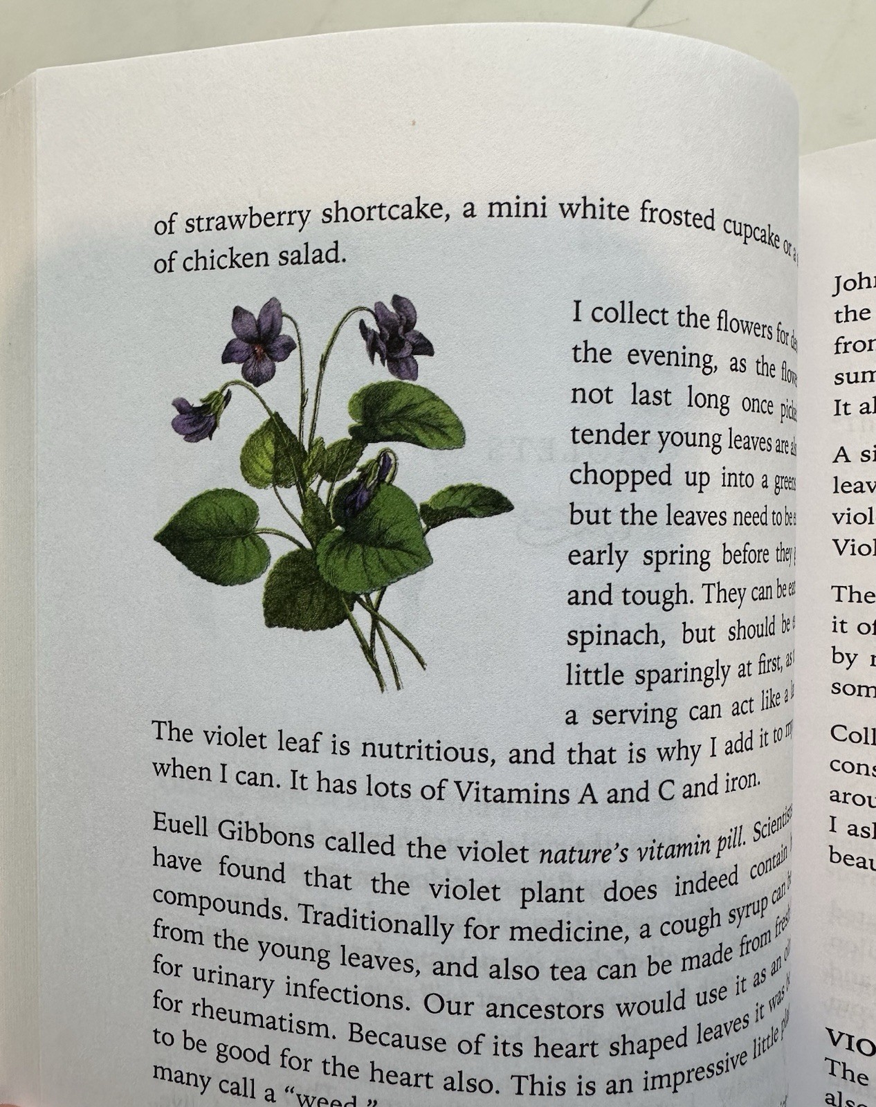 *Gatherings from the Good Earth: A Month-To-Month Collection of Recipes *Signed*