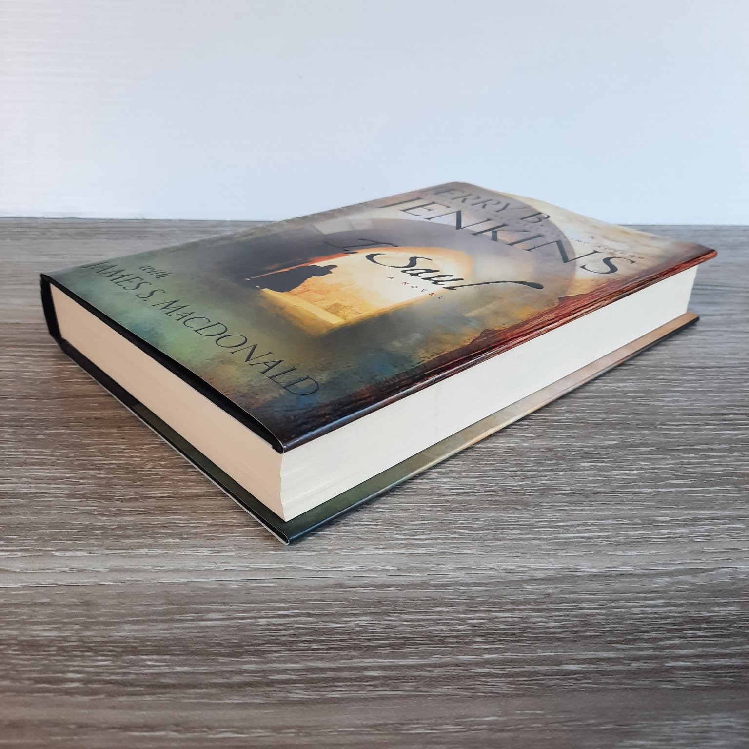 I, Saul Jerry B. Jenkins 2013 First Edition Thriller Worthy Publishing