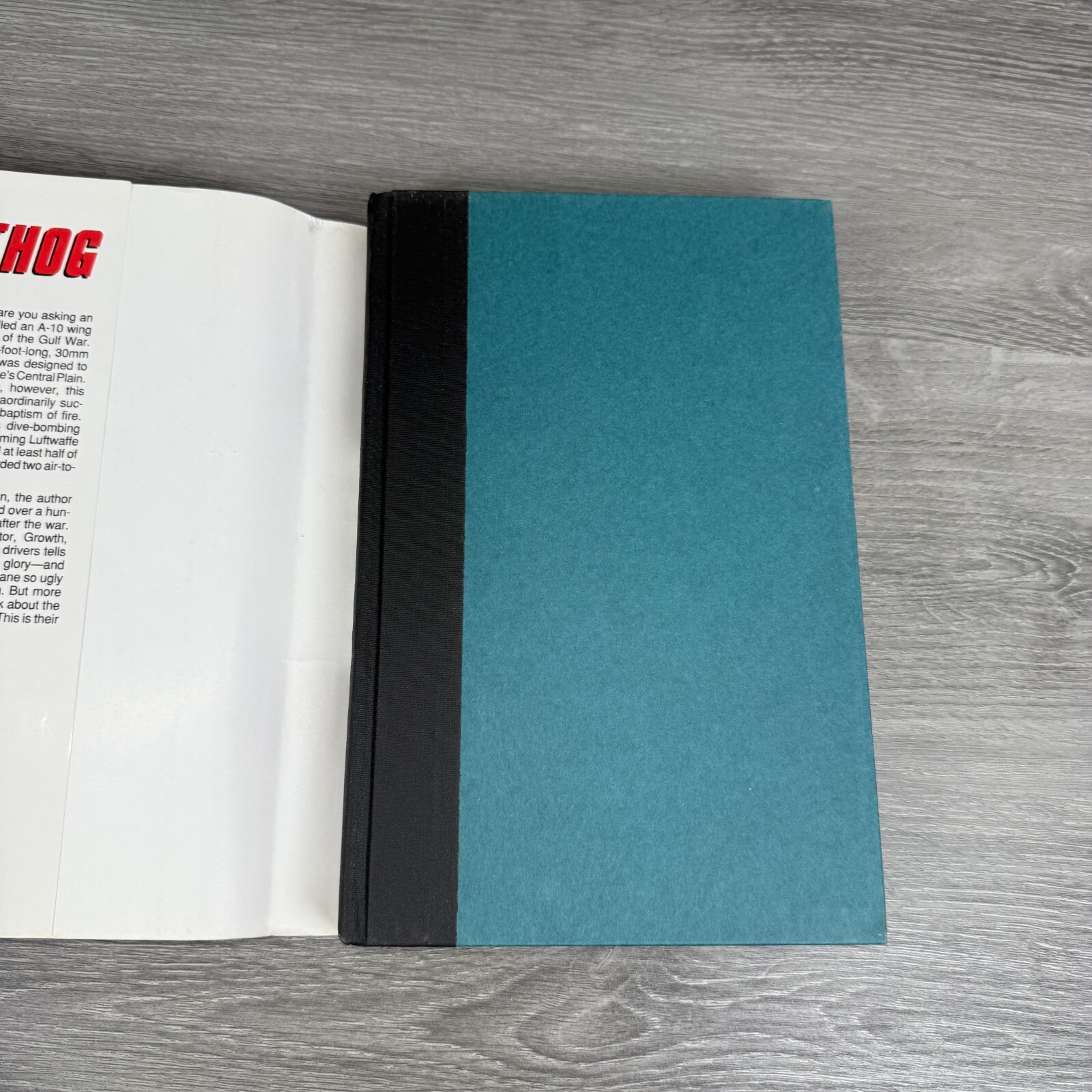 Warthog Flying the A-10 in the Gulf War Vtg HC 1993 Book by William L Smallwood