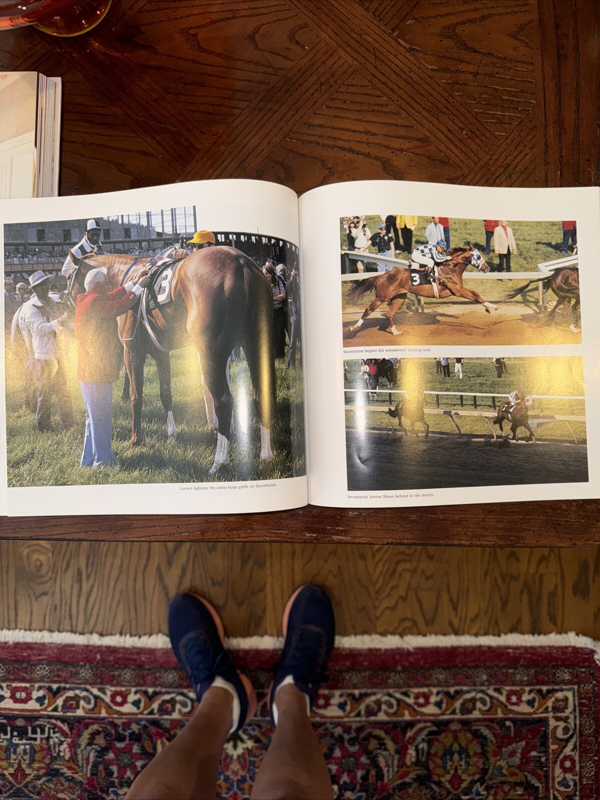 Secretariat, Woolfe Jr., Raymond G., 10.5 X 10 Inches Paperback