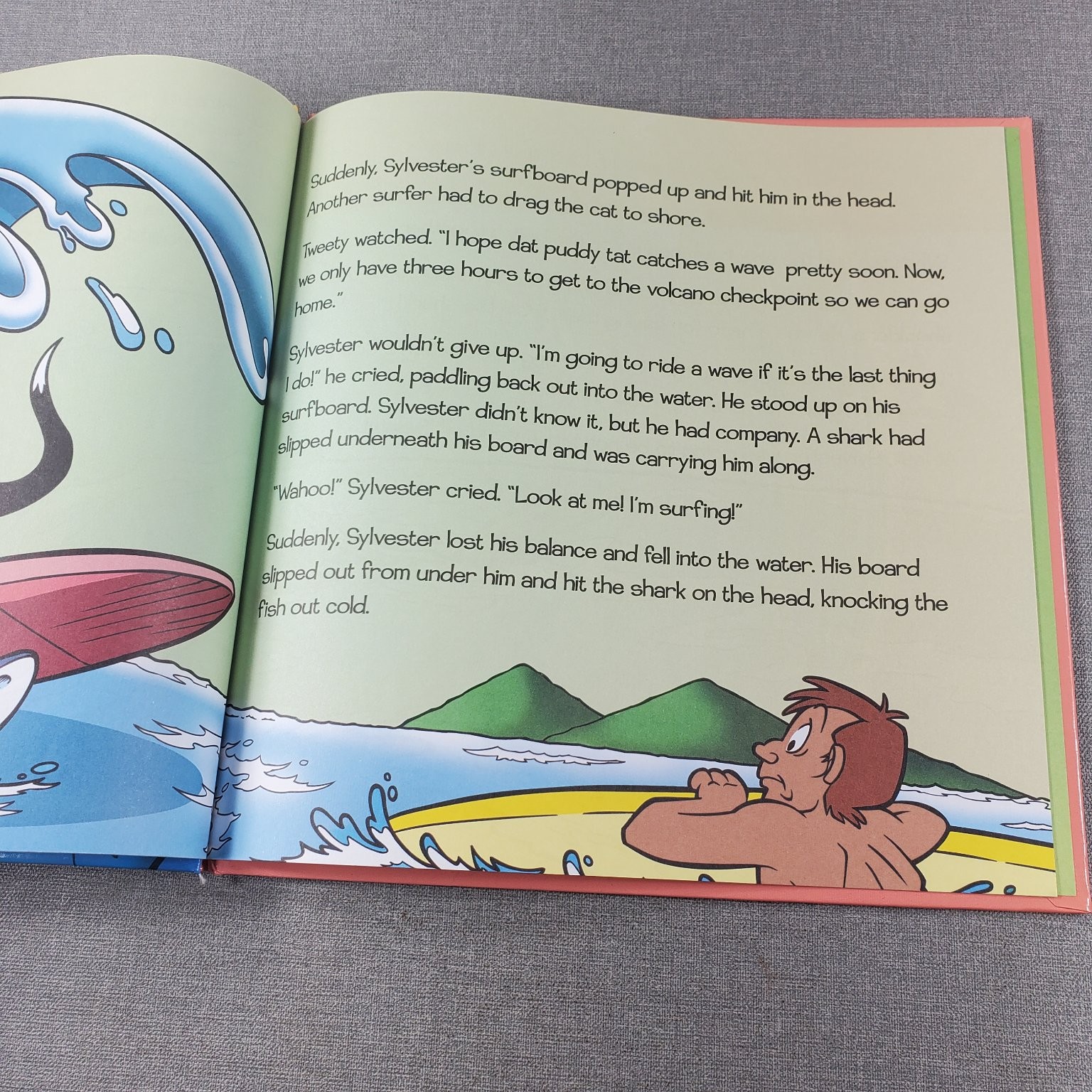 Surfer Cat Looney Tunes Storybook 2010 Vision St. Publishing Kids Book