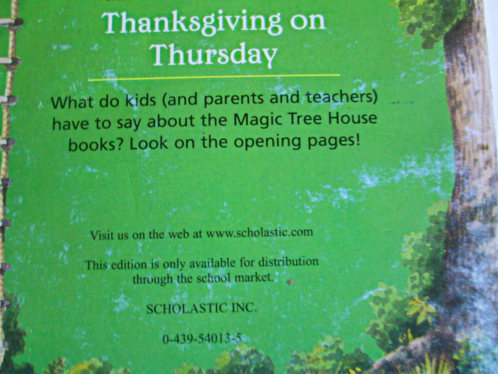 Magic Tree House Book Lot of 17, Mary Pope Osborne, PB HC Mix, 1990s-2010s