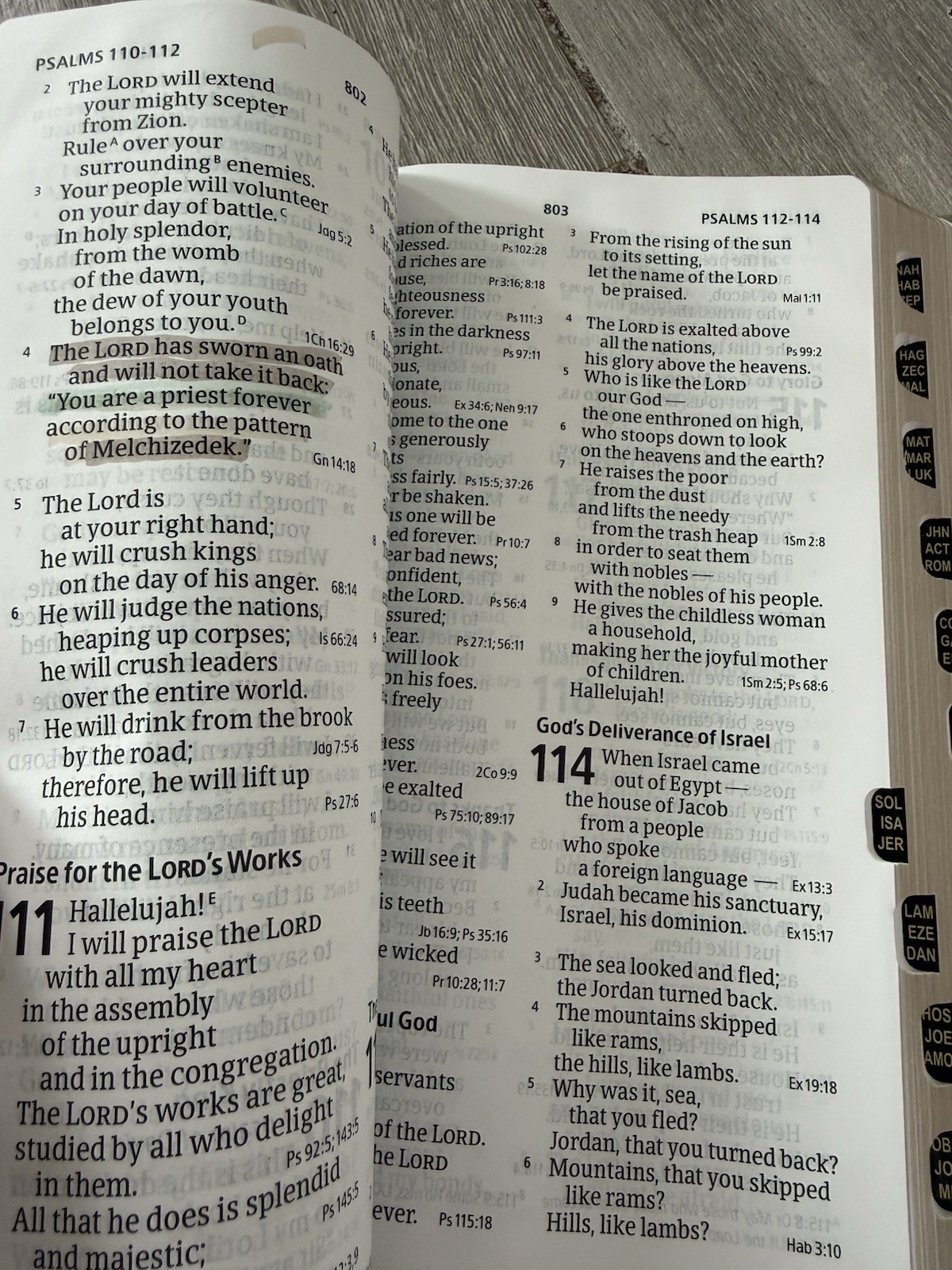 ✝️ CSB – Holy Bible LARGE PRINT Personal Size Reference Bible INDEXED Holman