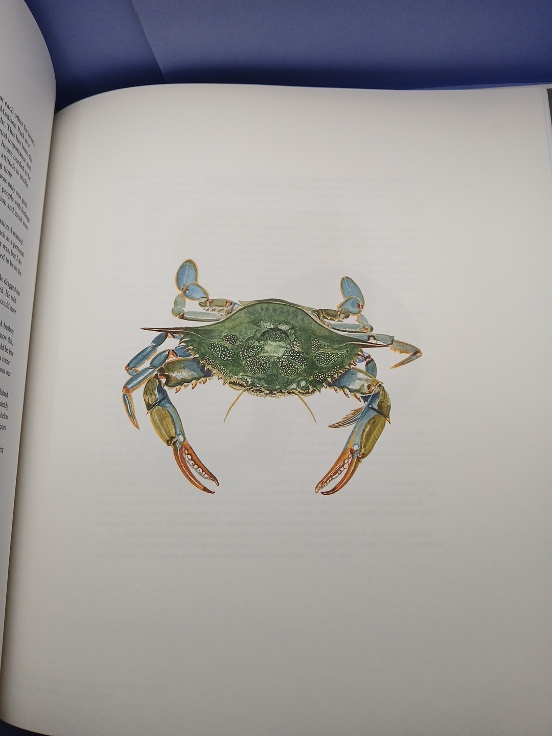 The Next Chapter Stories & Watercolors by Daniel Humm SIGNED With Will Guidara