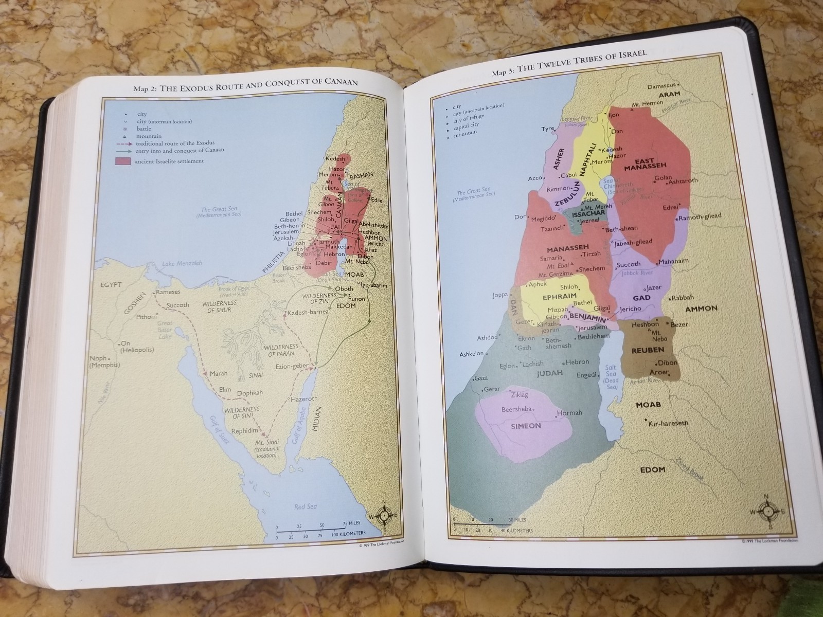 RARE 1999 USA NASB Bible Wide Margin Unknown Leather Opaque Paper USED L@@K🌟