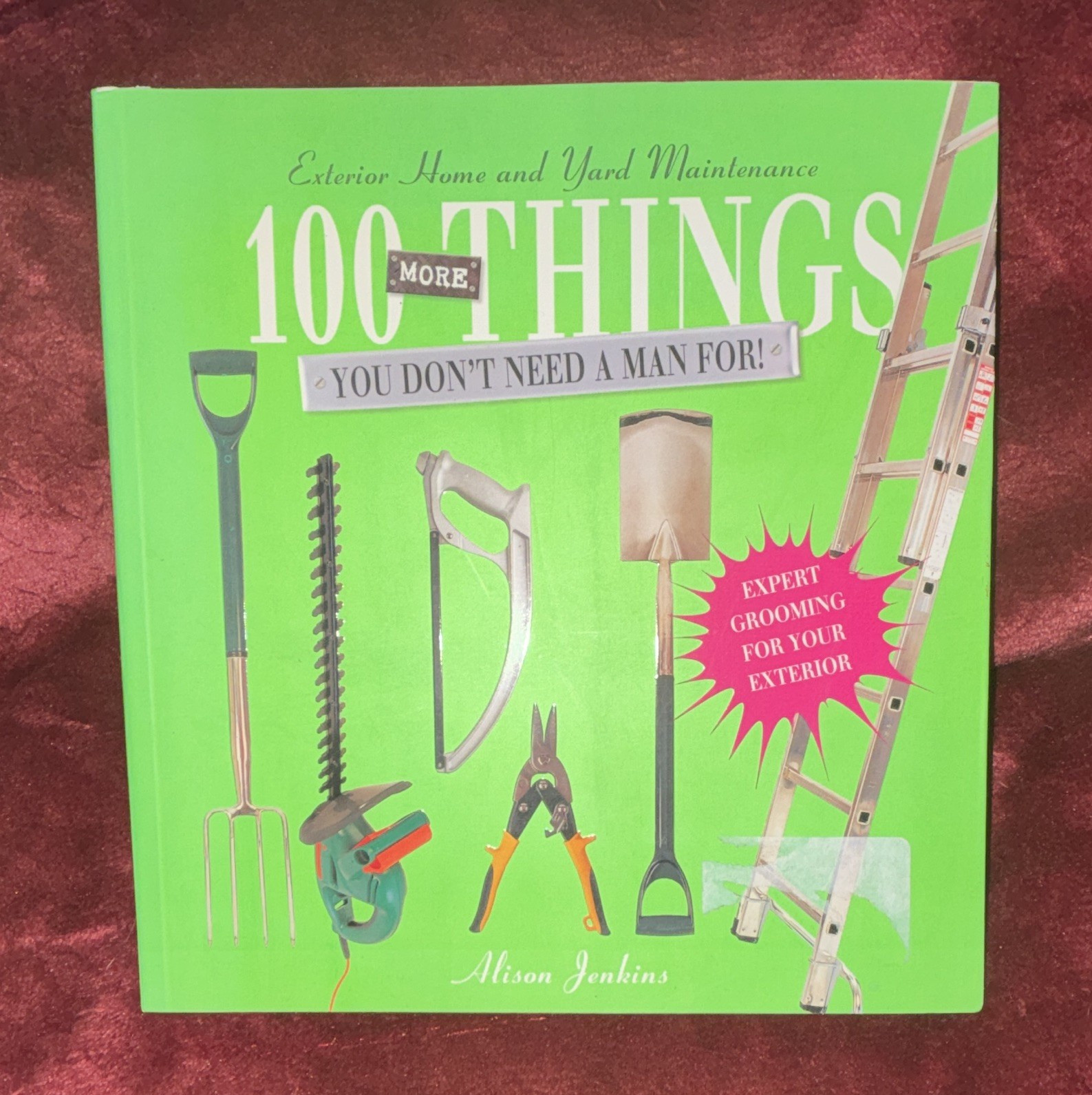 Alison Jenkins 100 More Things You Don’t Need a Man For! 2002 Trade Paperback