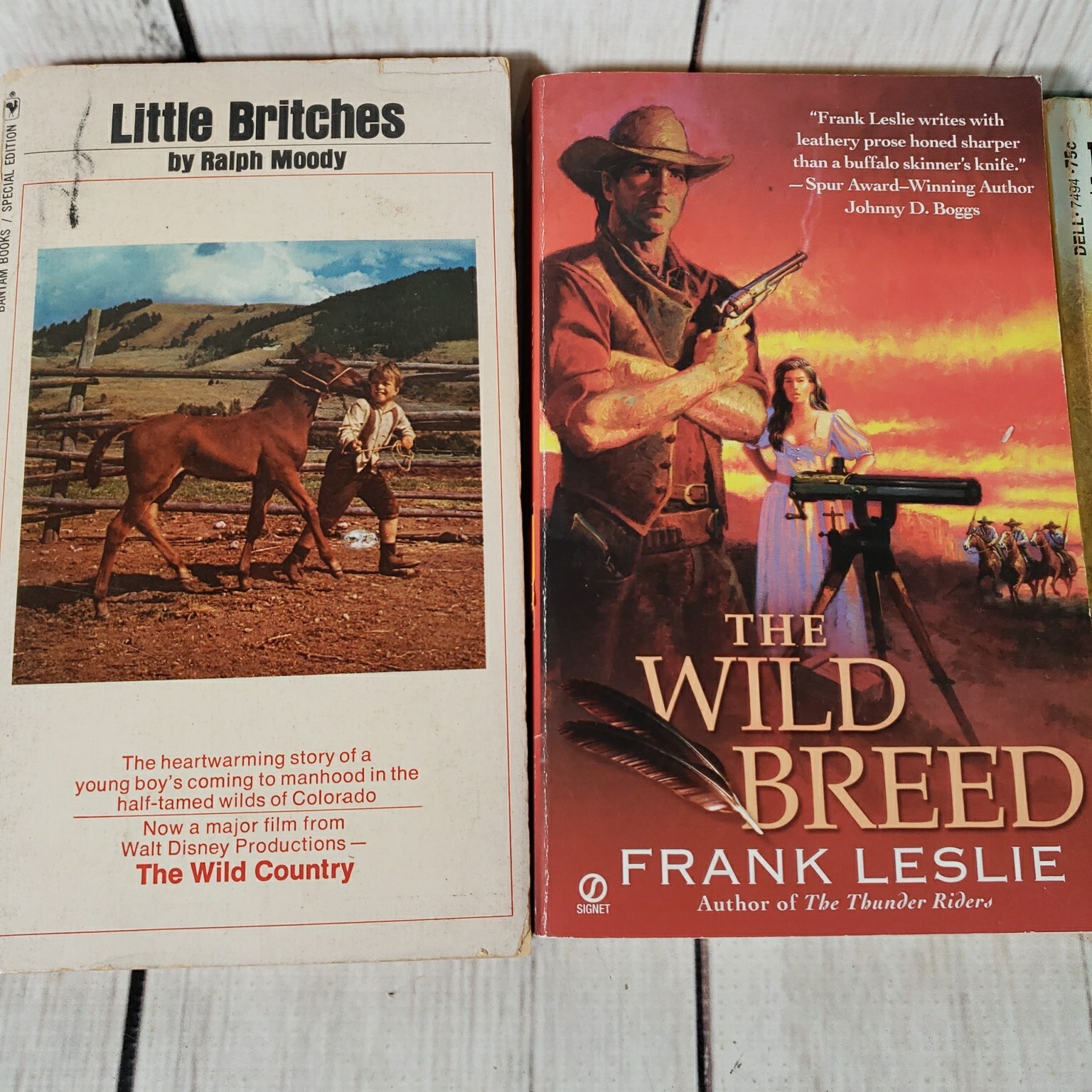 LOT OF 11 Western Adventure Cowboy Horses Paperback Books Various Author VINTAGE