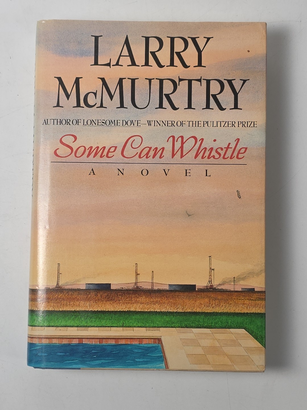 Lot of 17 Larry McMurtry Books (12 Hardcover; 5 Paperback) ~ Many First Editions