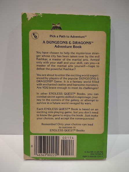 Duel of the Masters by Chris Martindale An Endless Quest #21 (TSR, 1984) 1st D&D