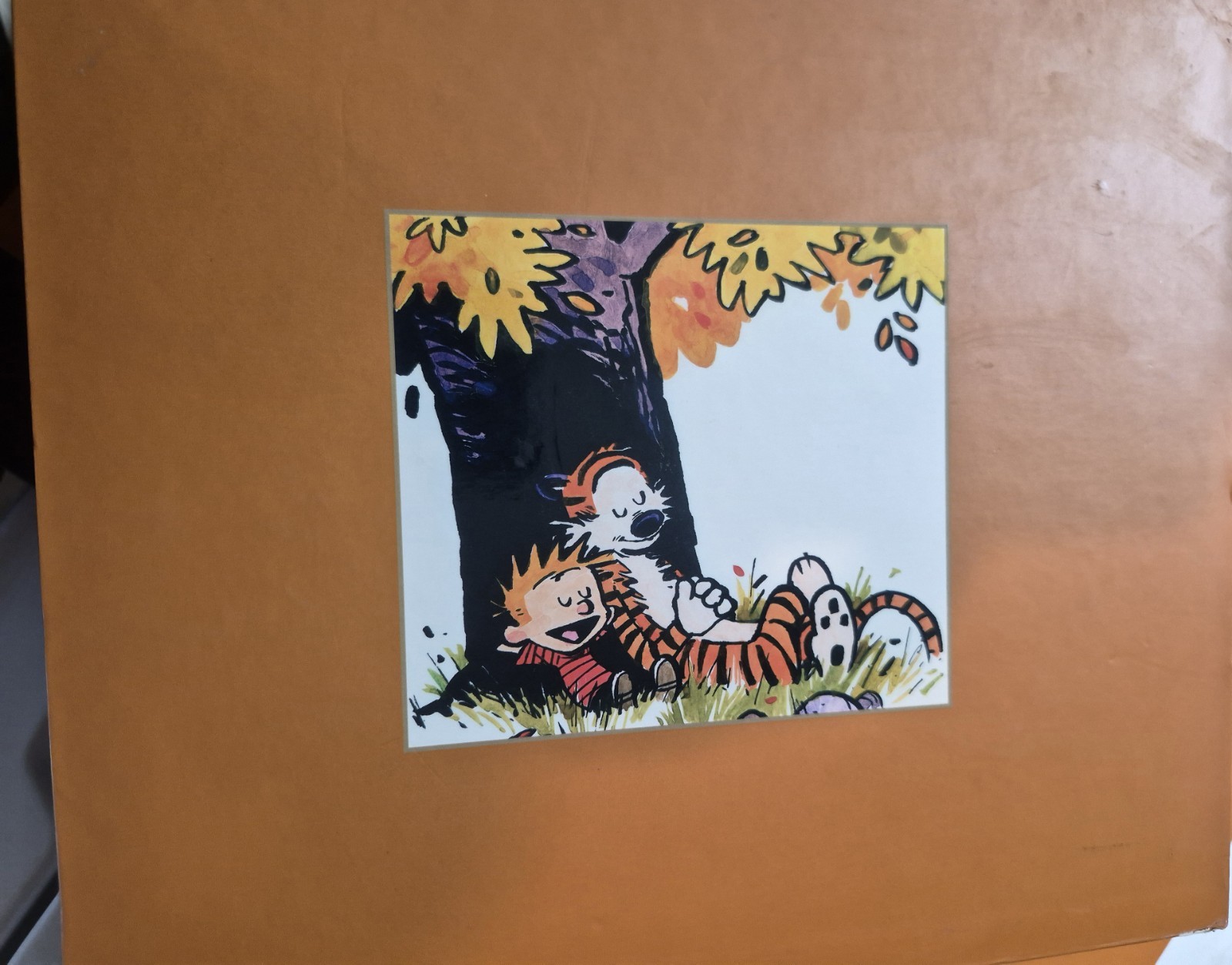 The Complete Calvin and Hobbes • 4 Book Box Set (Paperback)
