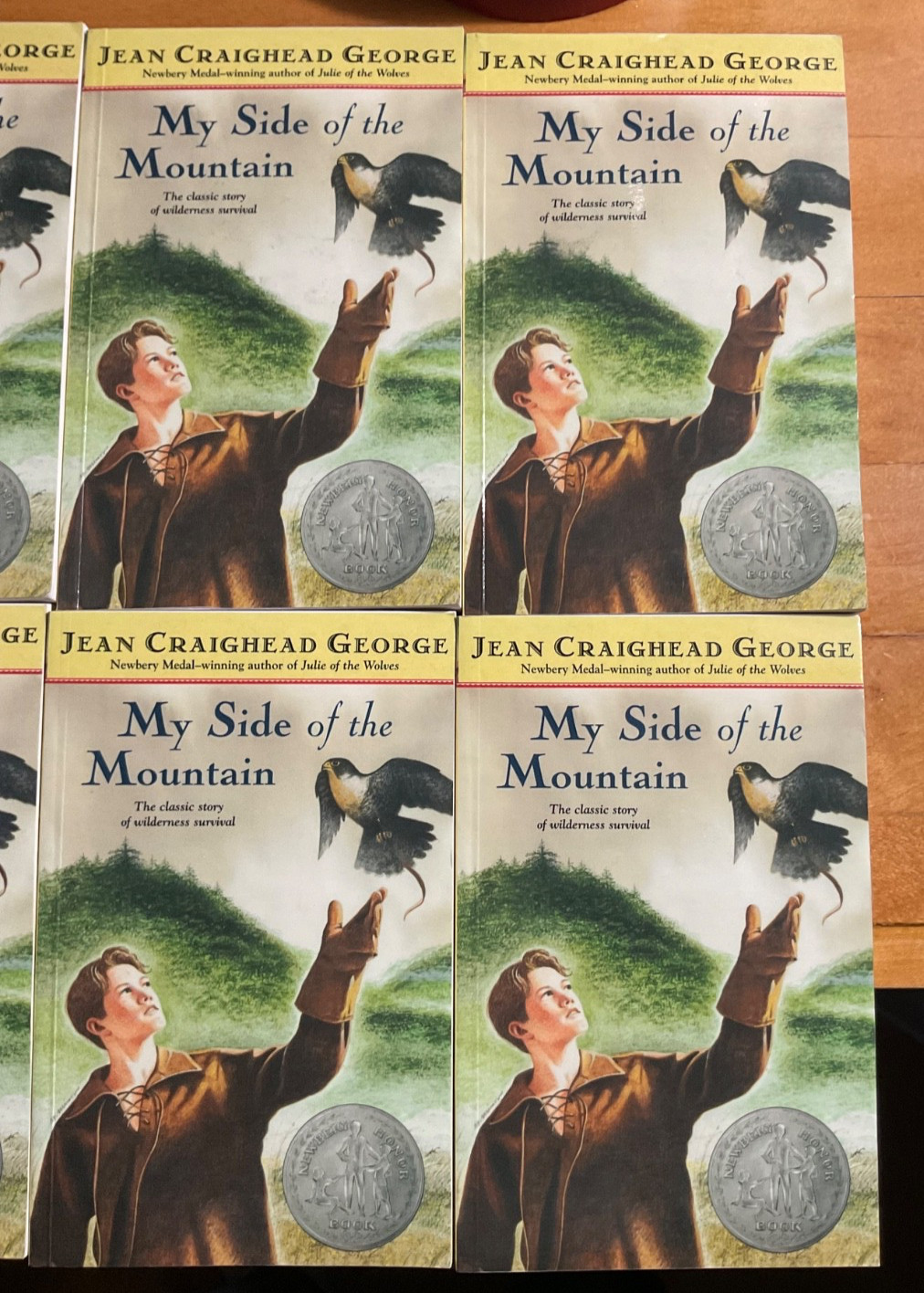 My Side of the Mountain-Six (6) Paperback-Trade Books-Jean Craighead George