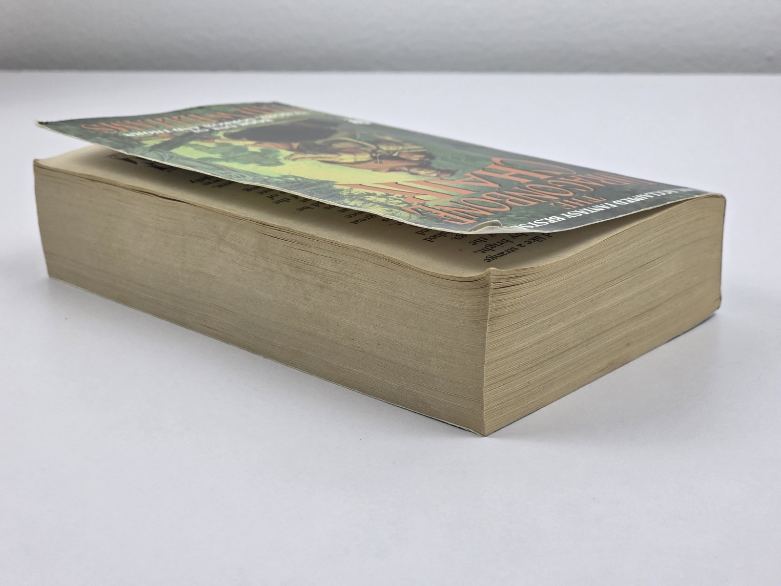 The Dragonbone Chair Tad Williams Book One Memory Sorrow and Thorn 1989