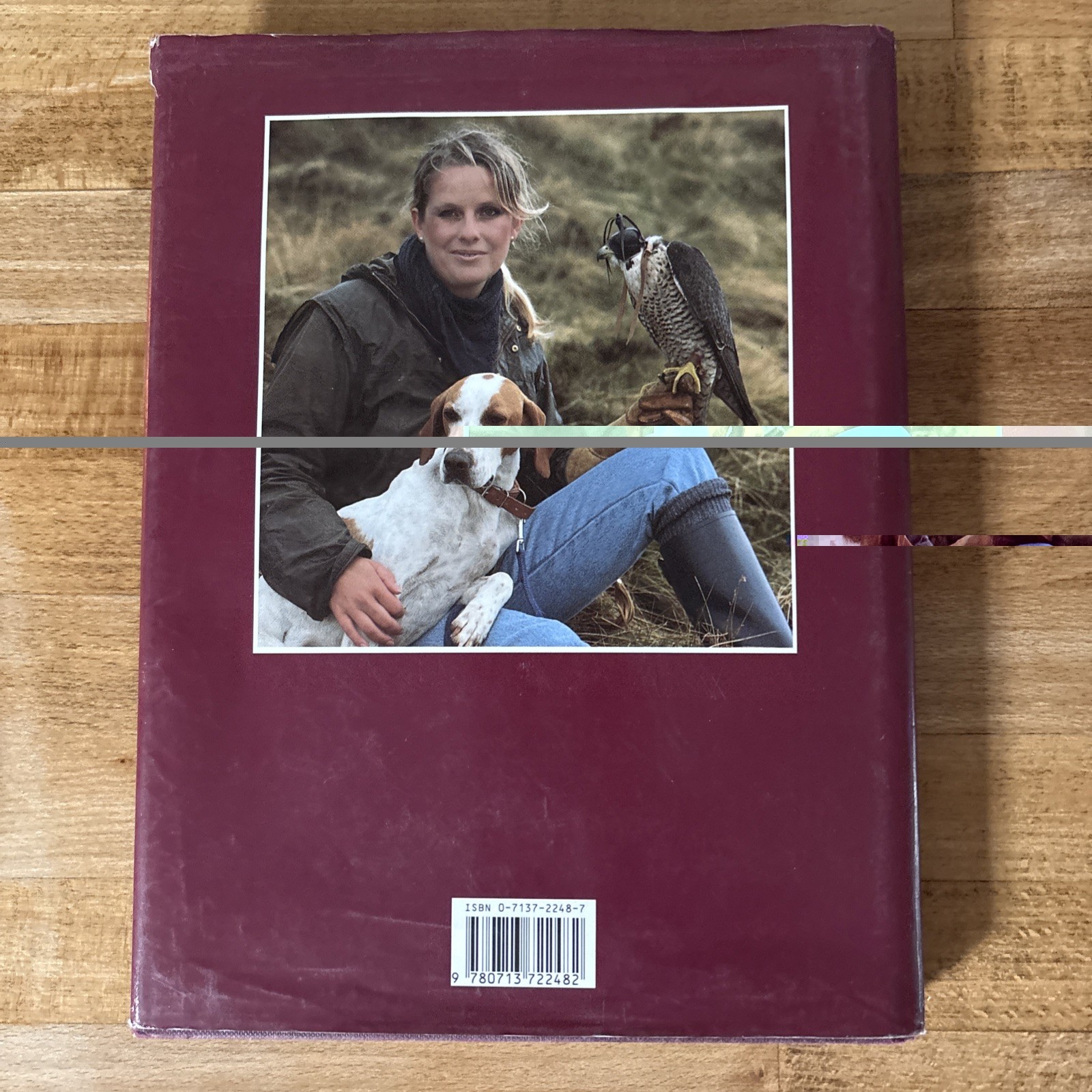 Falconry : Art and Practice by Emma Ford (1992, Hardcover With Dustjacket)
