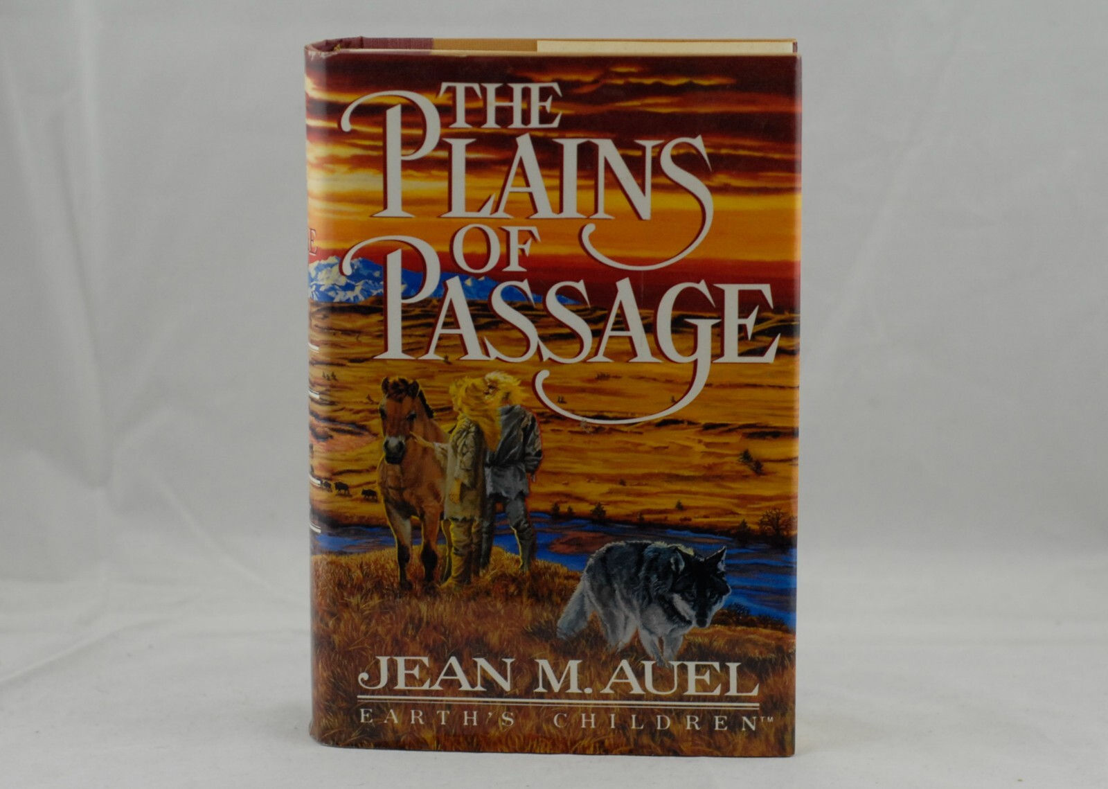 Earth’s Children Ser.: The Plains of Passage by Jean M. Auel (1990, Hardcover)