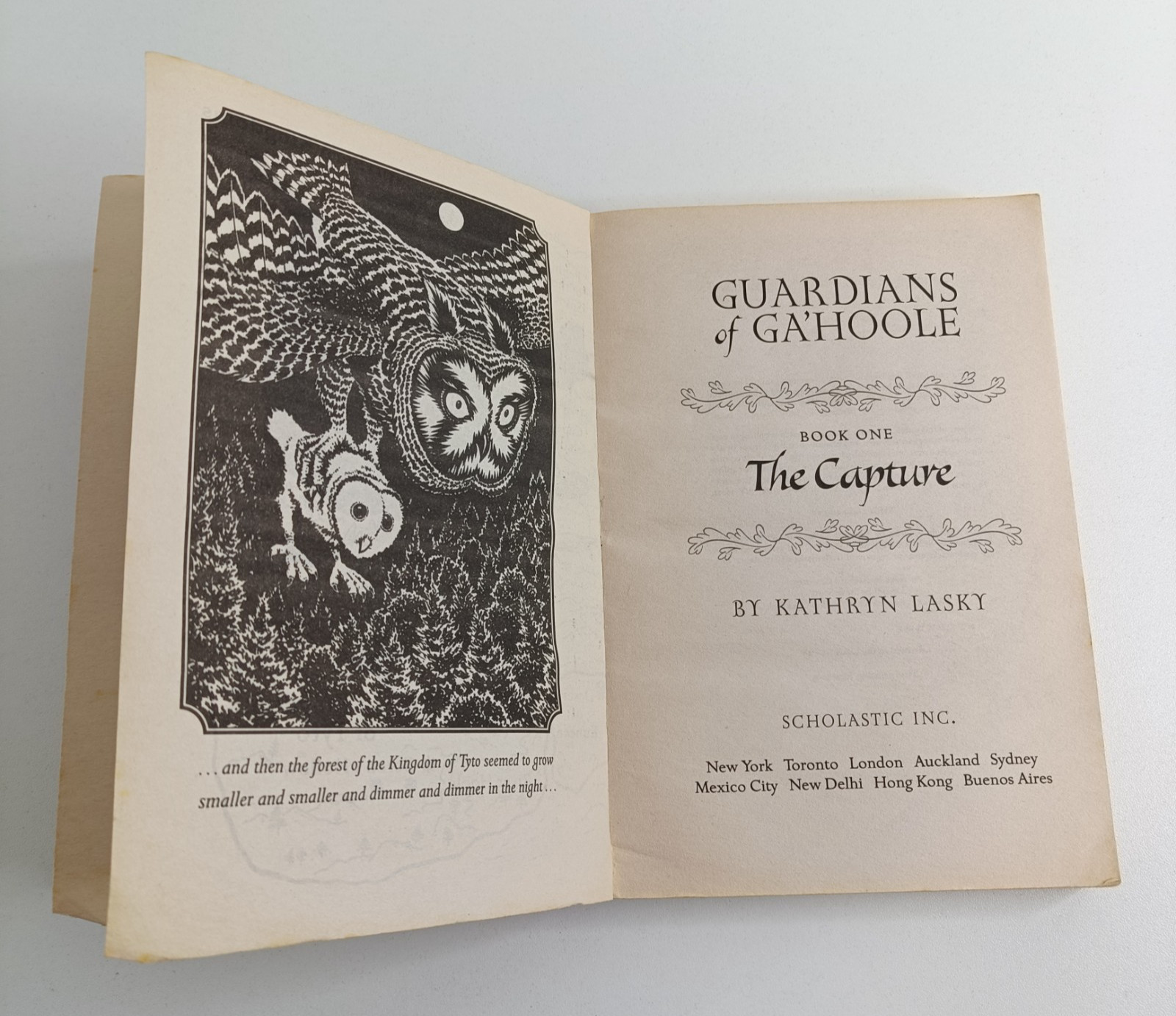 Guardians of Ga’Hoole Kathryn Lasky Bulk Lot 1 3 4 5 7 8 9 12 13 14 + Guide Book