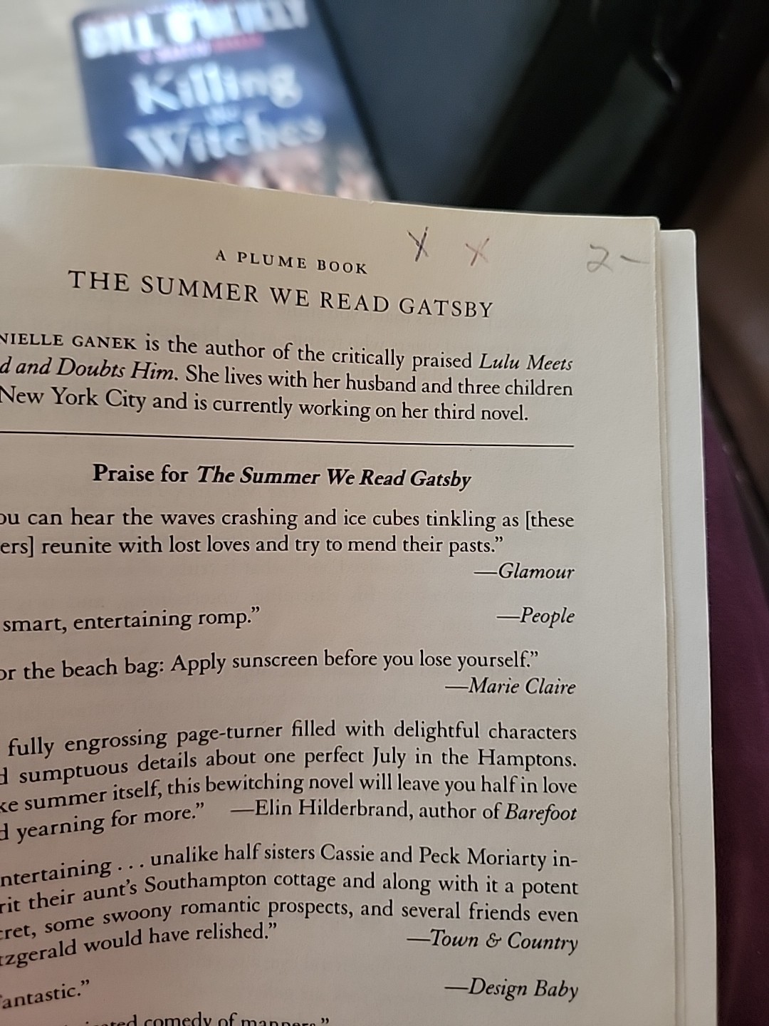 Summer We Read Gatsby : A Novel by Danielle Ganek (2011, Uk-B Format Paperback)