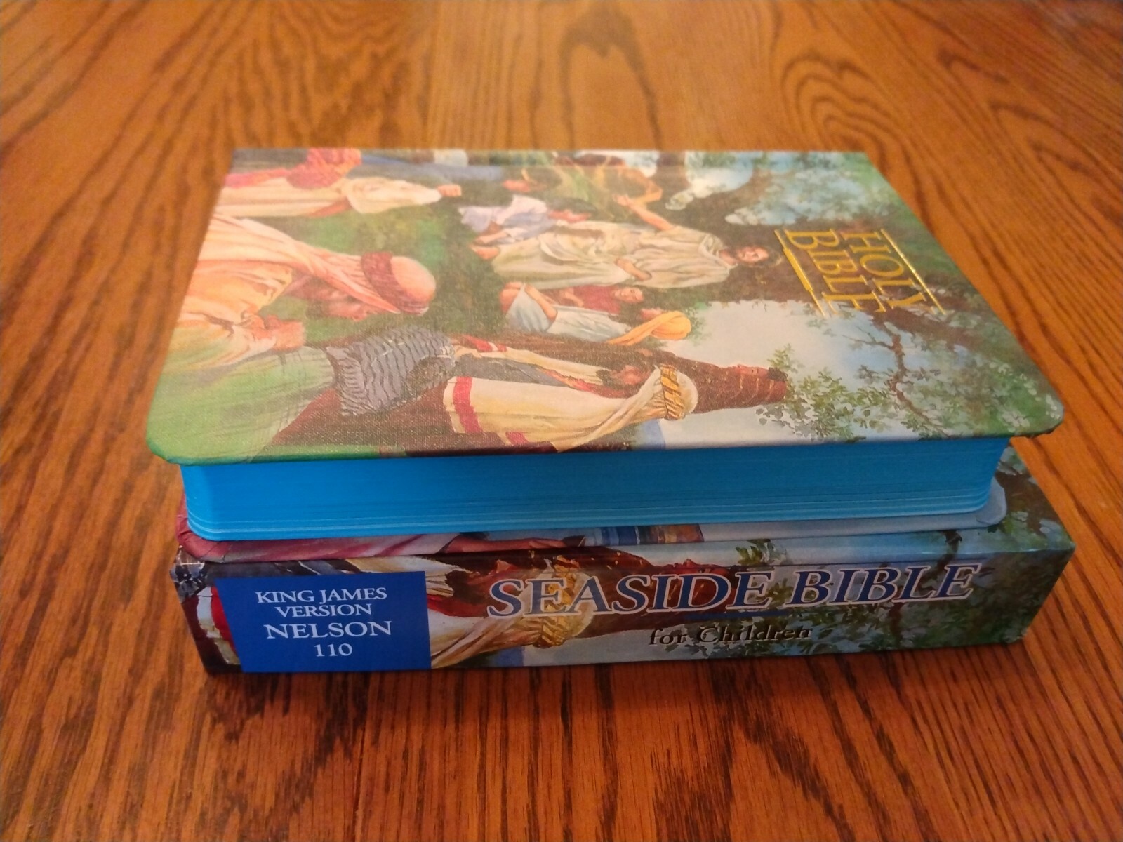 Children’s Bible KJV Seaside Bible Illustrated Nelson Hardcover blue edge