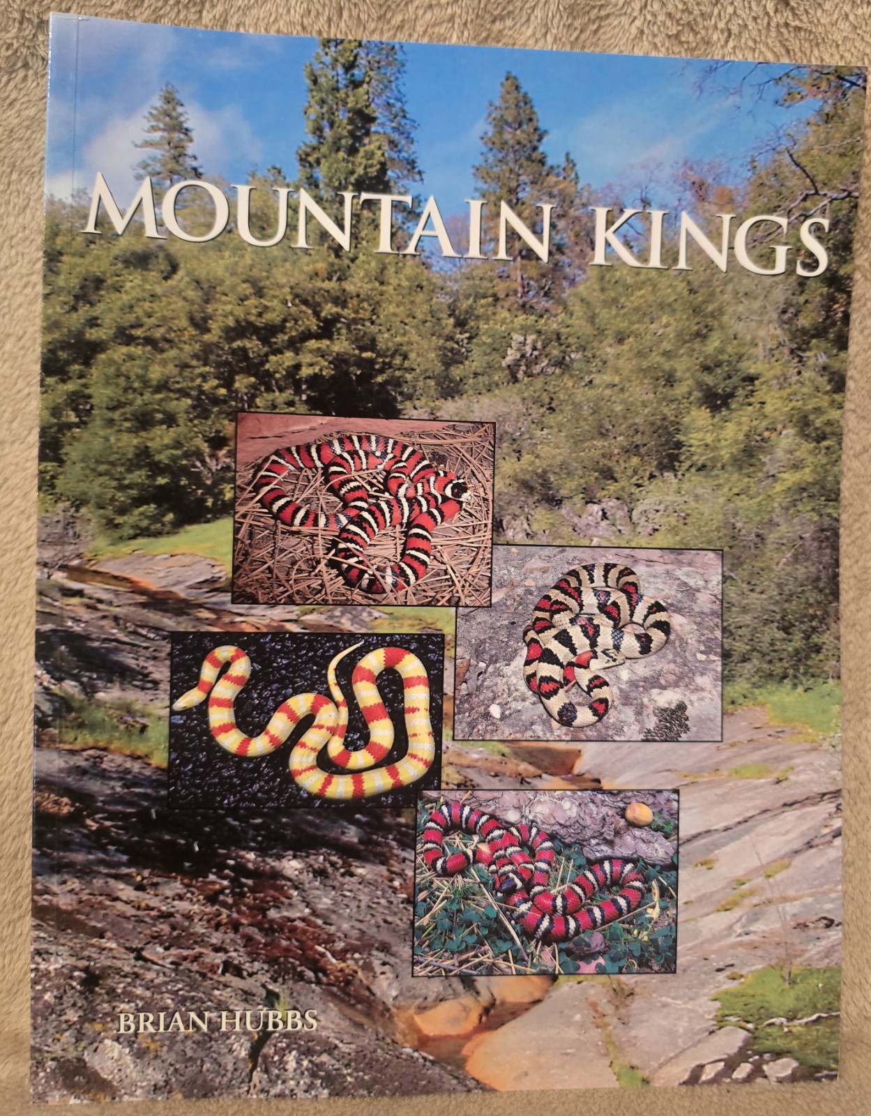 Mountain Kings: Brian Hubbs. „OUT OF PRINT“ Brand NEW!!!