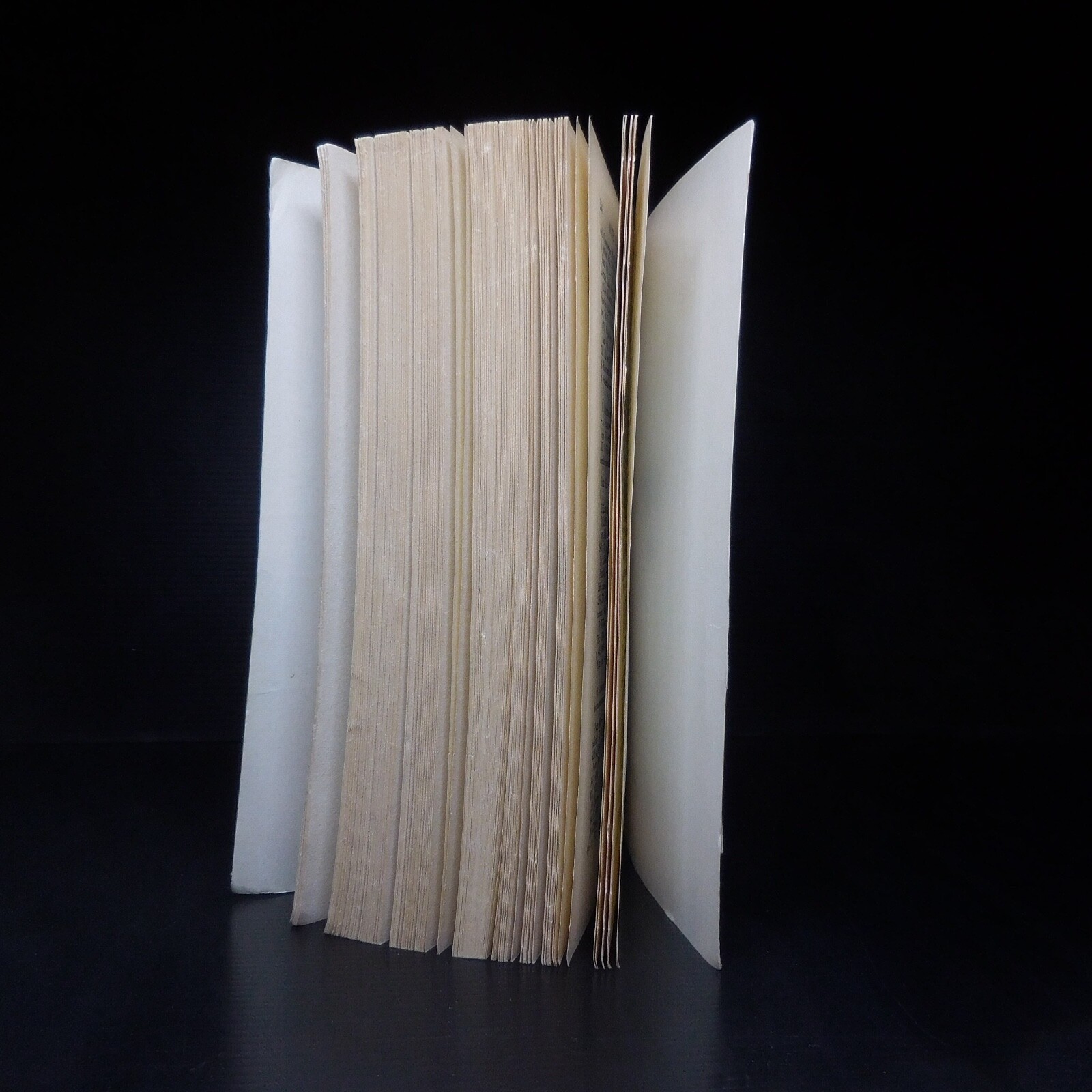 N23.4 Paul-Marie Duval 1976 The Gaul During The Roman Peace History Hachette