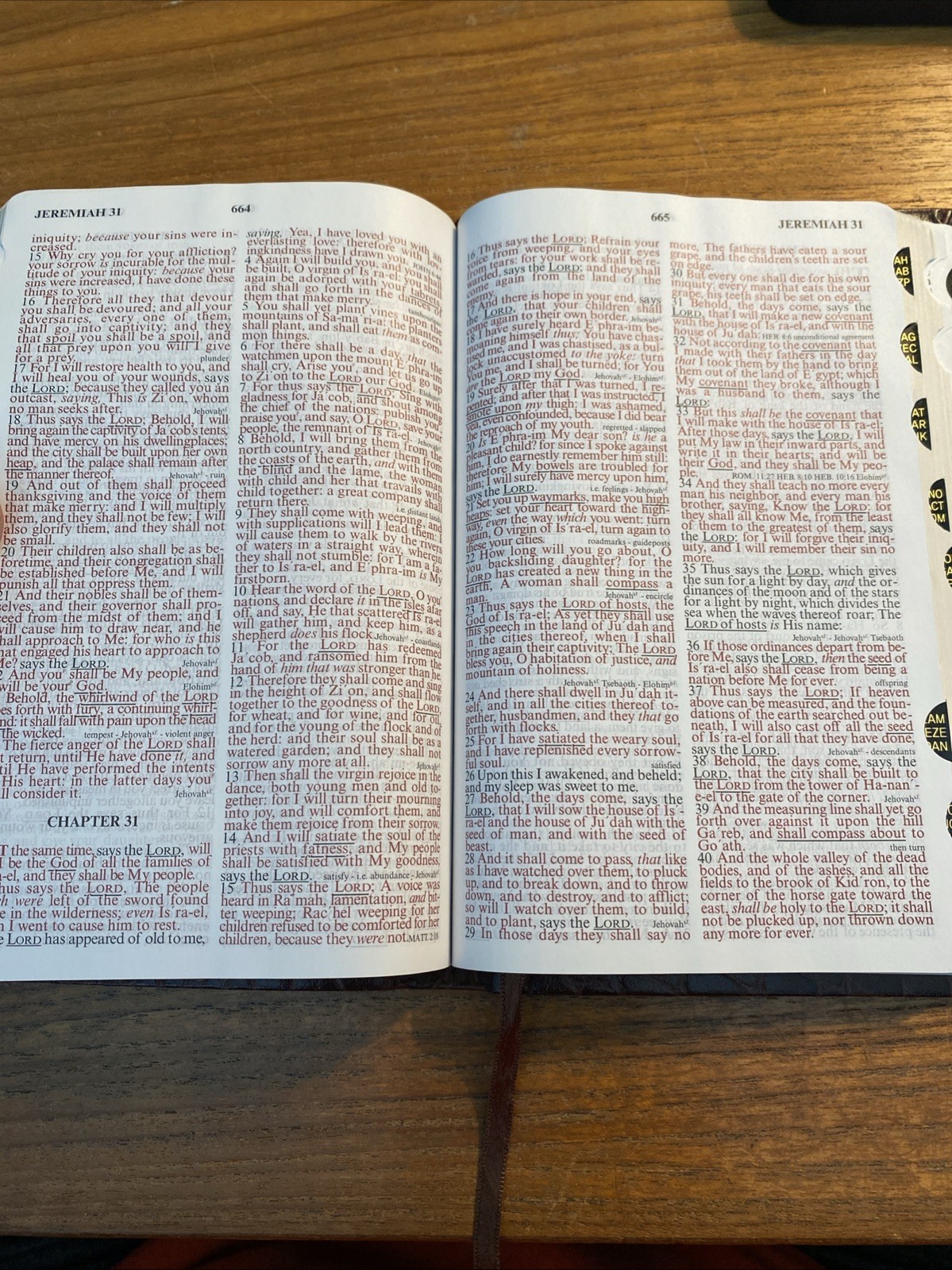 KJVER Thinline Bible by Whitaker House Staff 2015 Alligator Leather Indexed