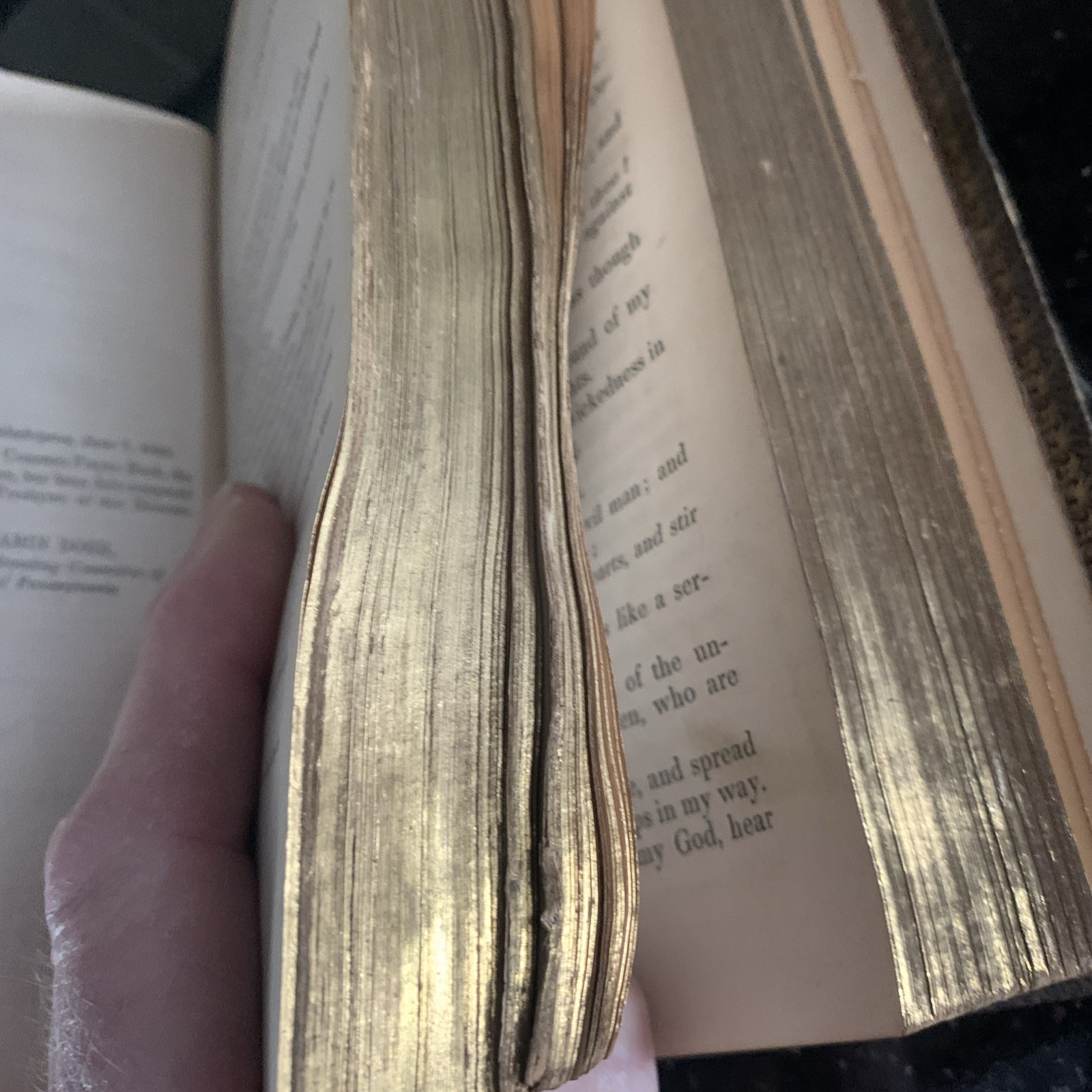 1860 Episcopal Book Of Common Prayer D. Appleton & Company