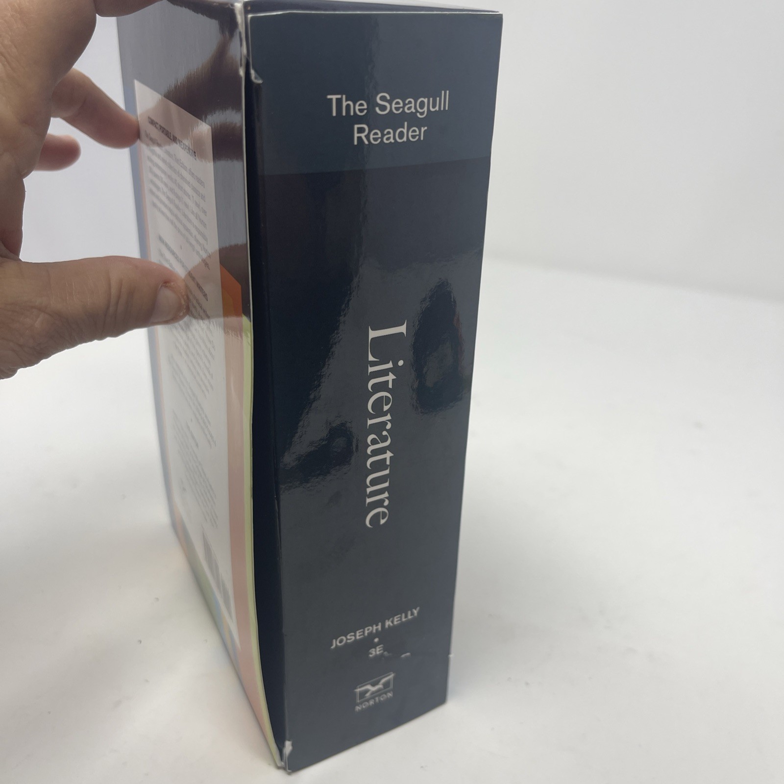 Seagull Reader : Literature by Joseph Kelly (2014, Trade Paperback)